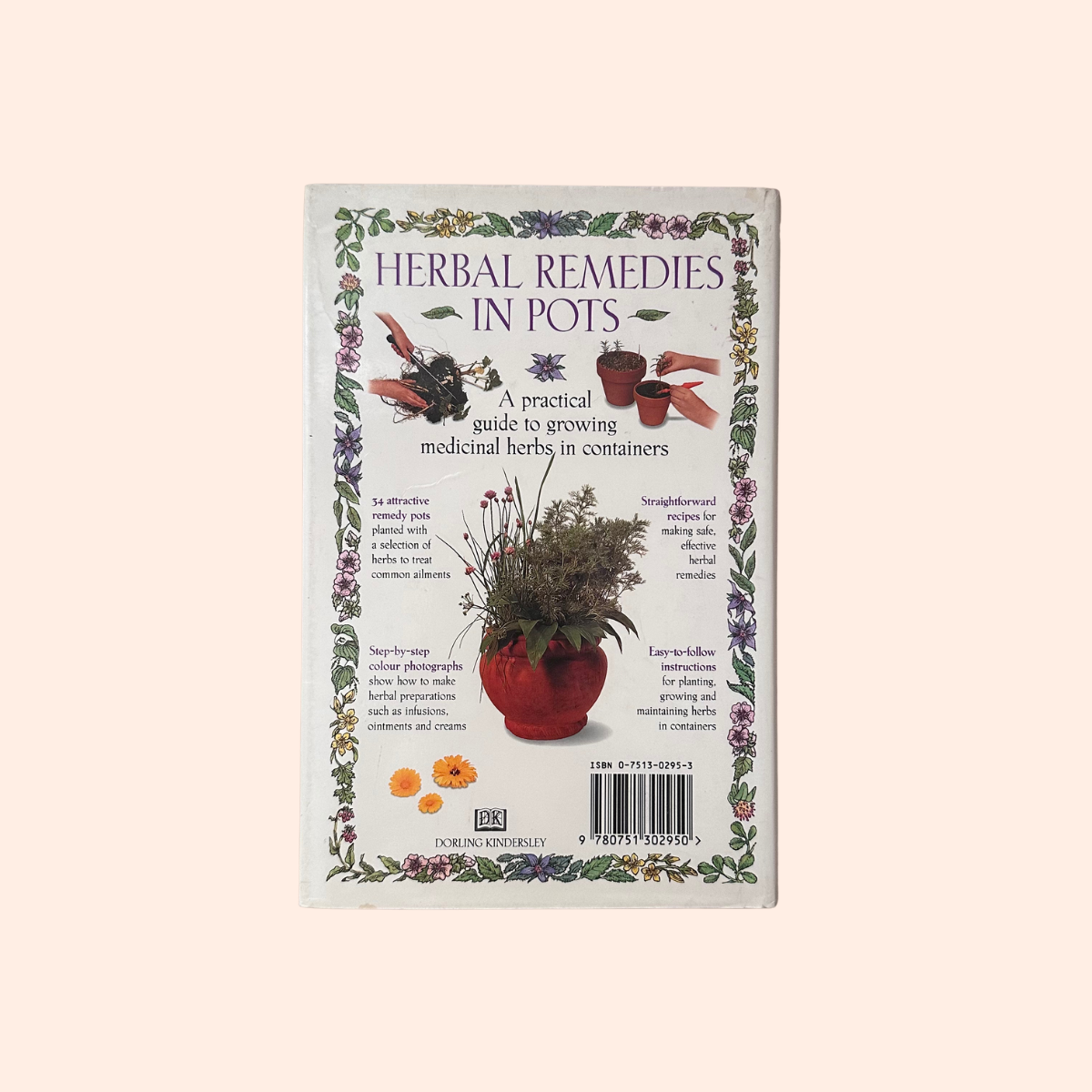 Herbal Remedies in Pots | Effie Romain & Sue Hawkey