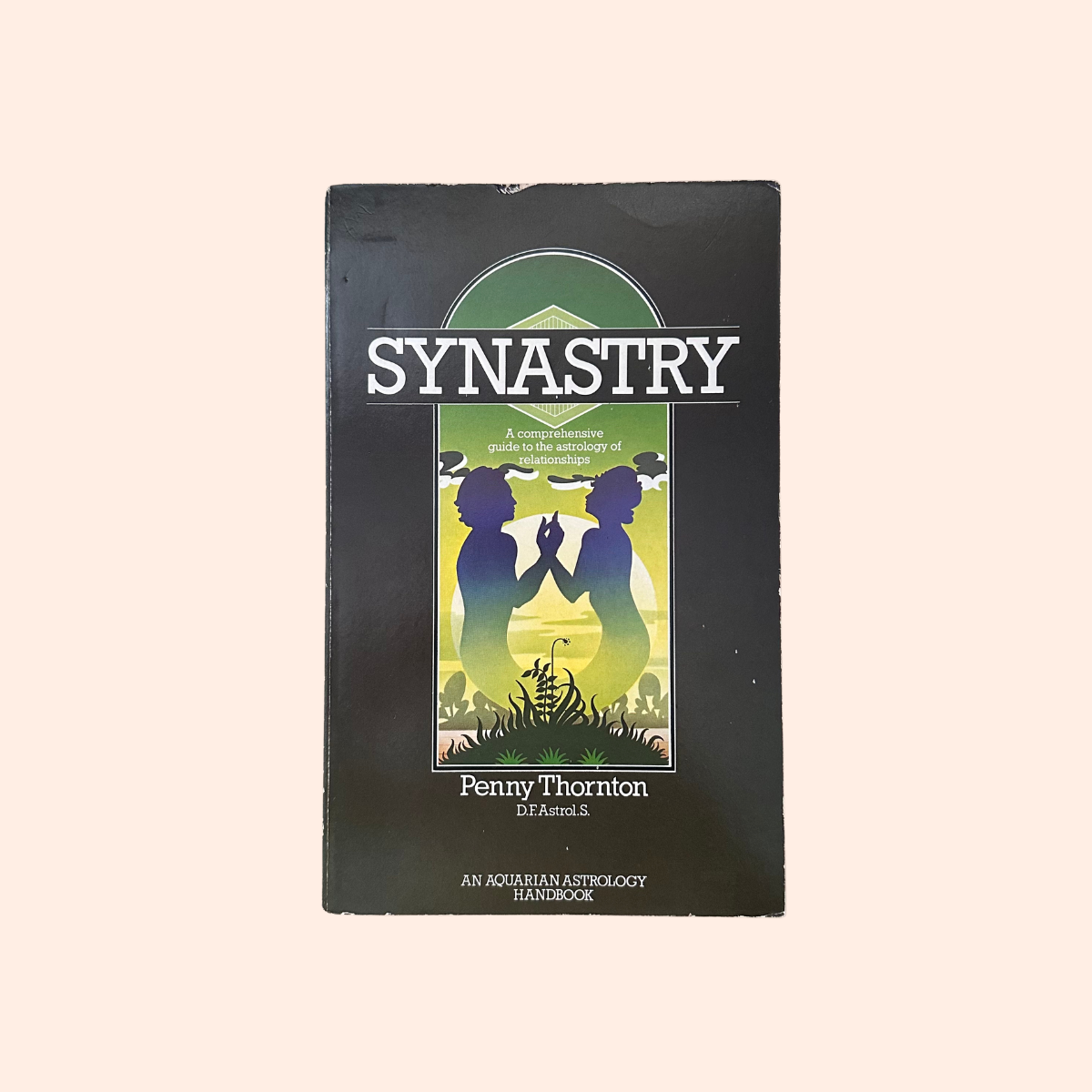 Synastry | Penny Thornton