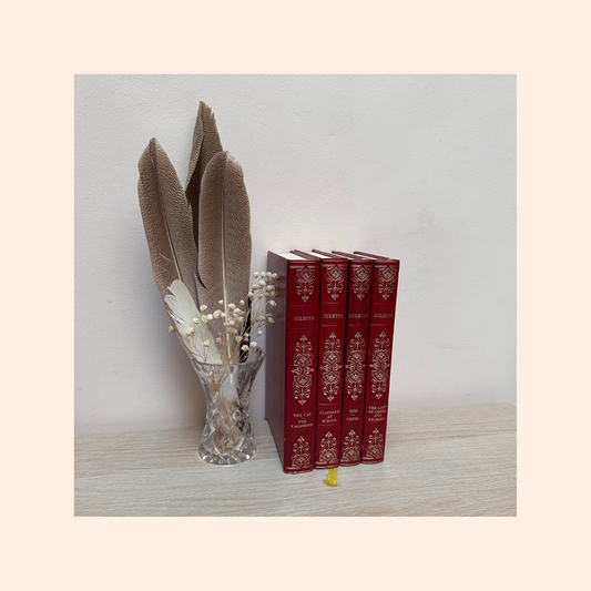 Colette Vintage Heron Editions | Set of 4 | Red Hardcovers | 1967 | French Literature Classics