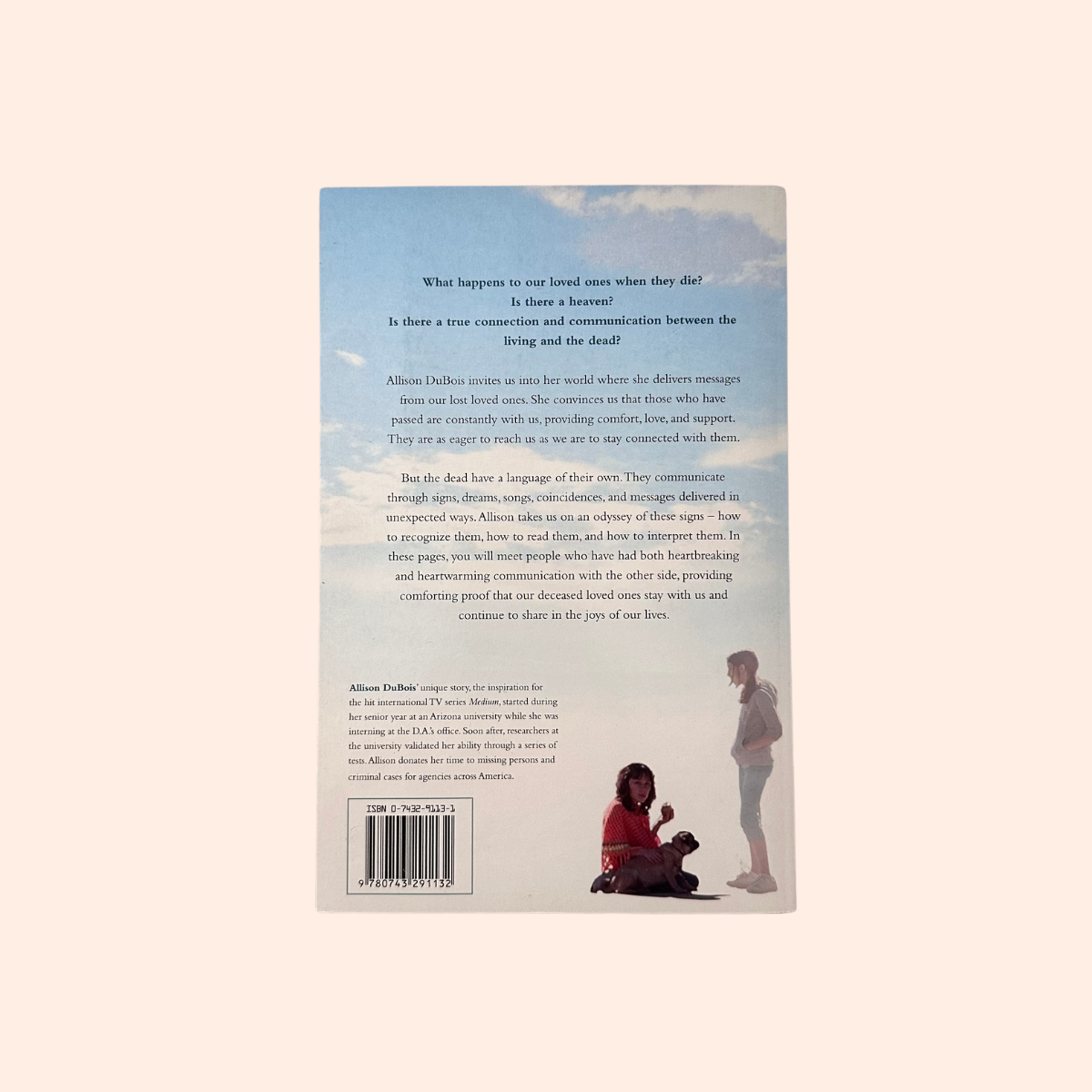 We are their Heaven | Paperback | Allison Dubois