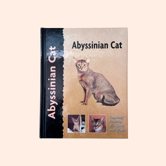 Abyssinian Cat | Virginia N. Tidwell