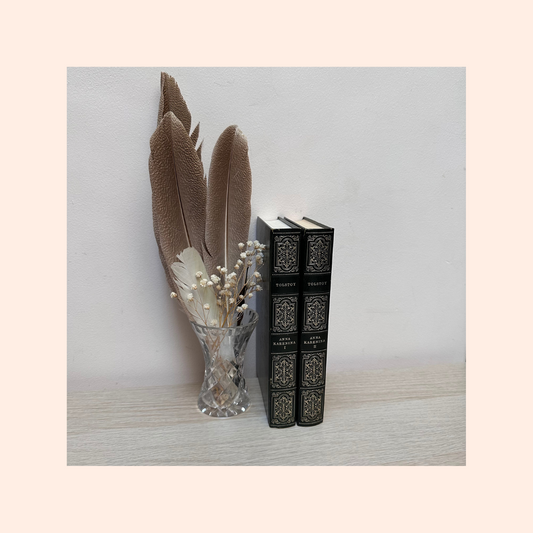 Tolstoy | Anna Karenina | Volume I & II | 1967 | Heron Books