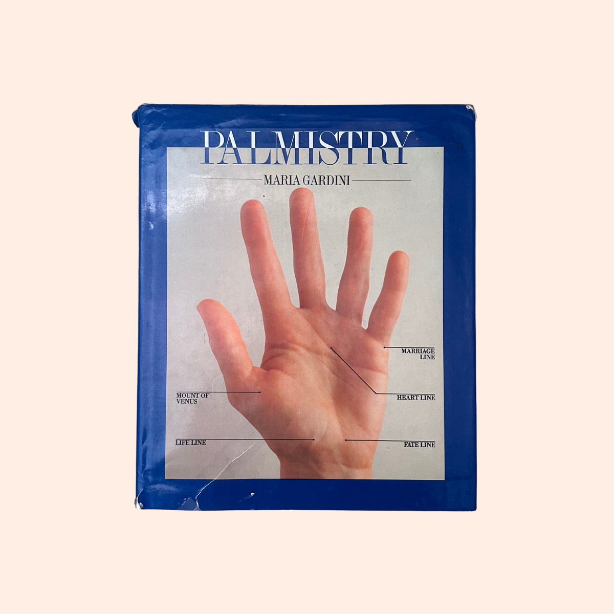 Palmistry | Maria Gardini