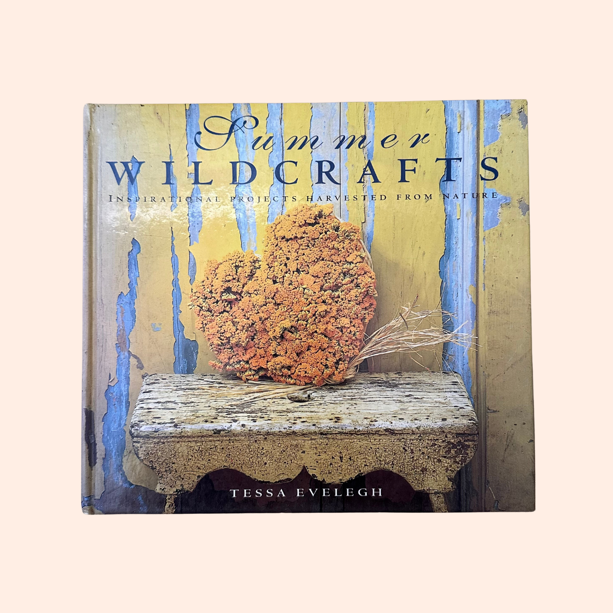 Summer Wildcrafts | Tessa Evelegh