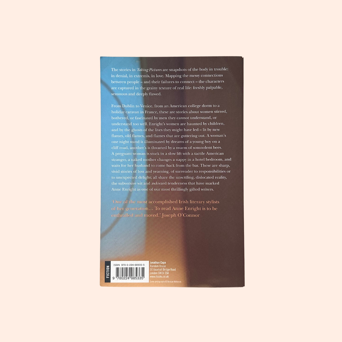 Taking Pictures | Anne Enright