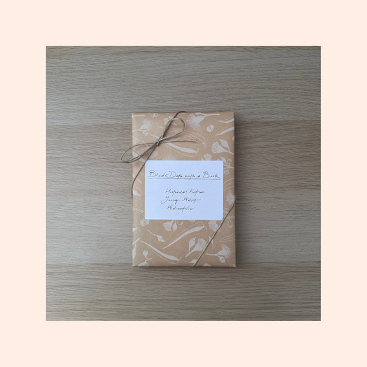 Blind Date with A Book : Historical Fiction | Young Adult | Adventure