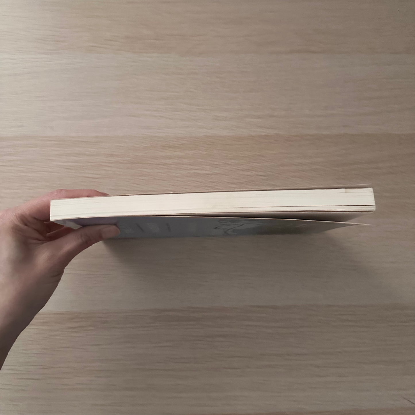 The Feng Shui Handbook | Derek Walters