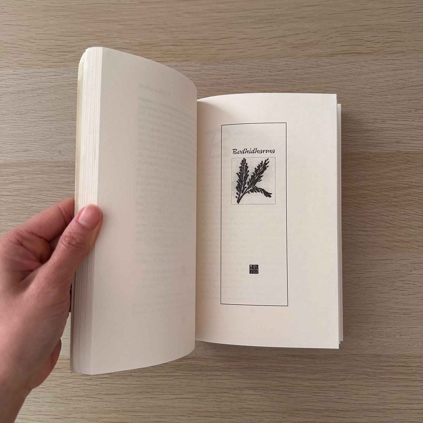 Tao of Zen | Ray Grigg