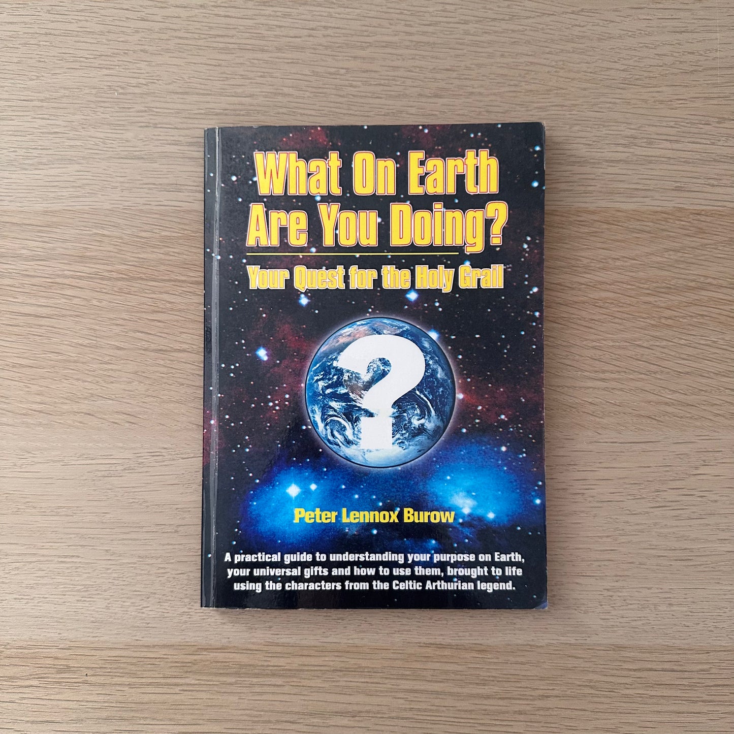 What on Earth Are You Doing? | Peter Lennox Burrow