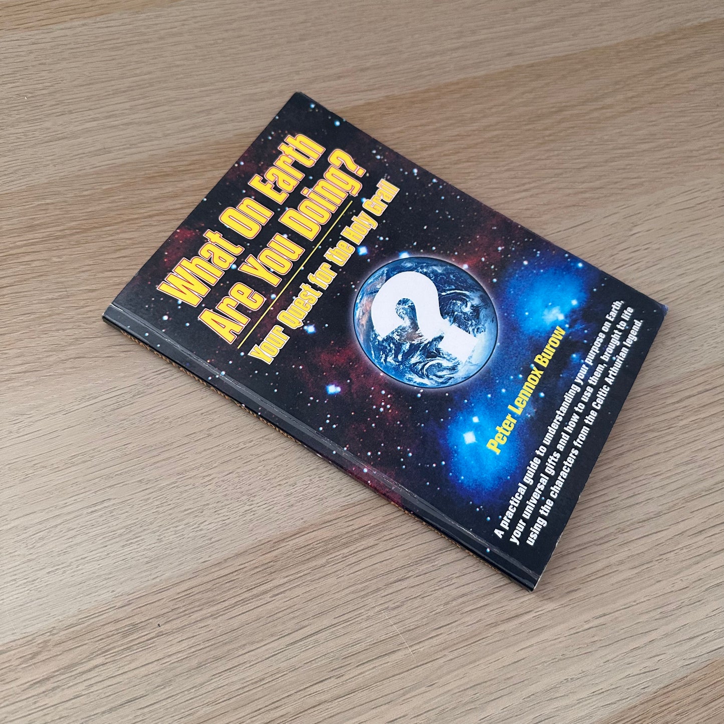What on Earth Are You Doing? | Peter Lennox Burrow
