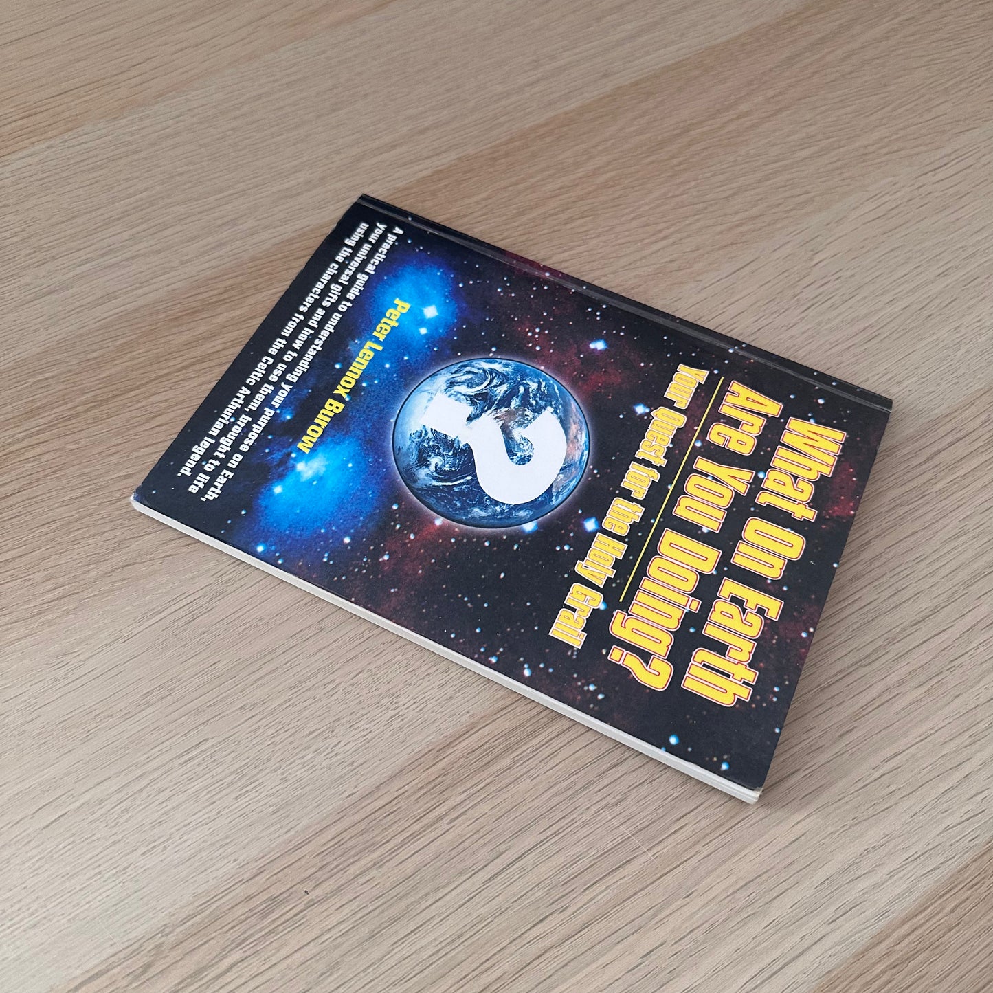 What on Earth Are You Doing? | Peter Lennox Burrow
