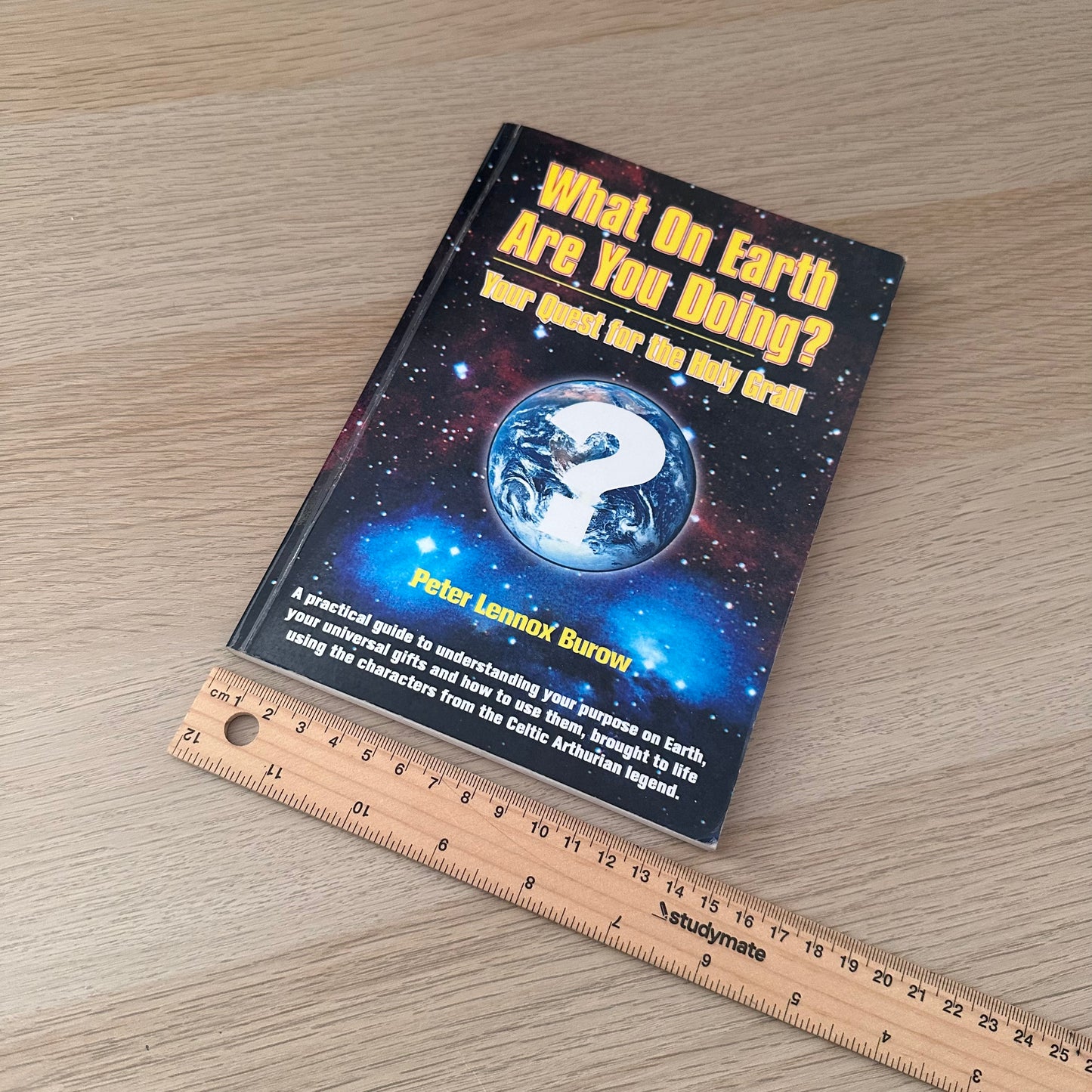 What on Earth Are You Doing? | Peter Lennox Burrow