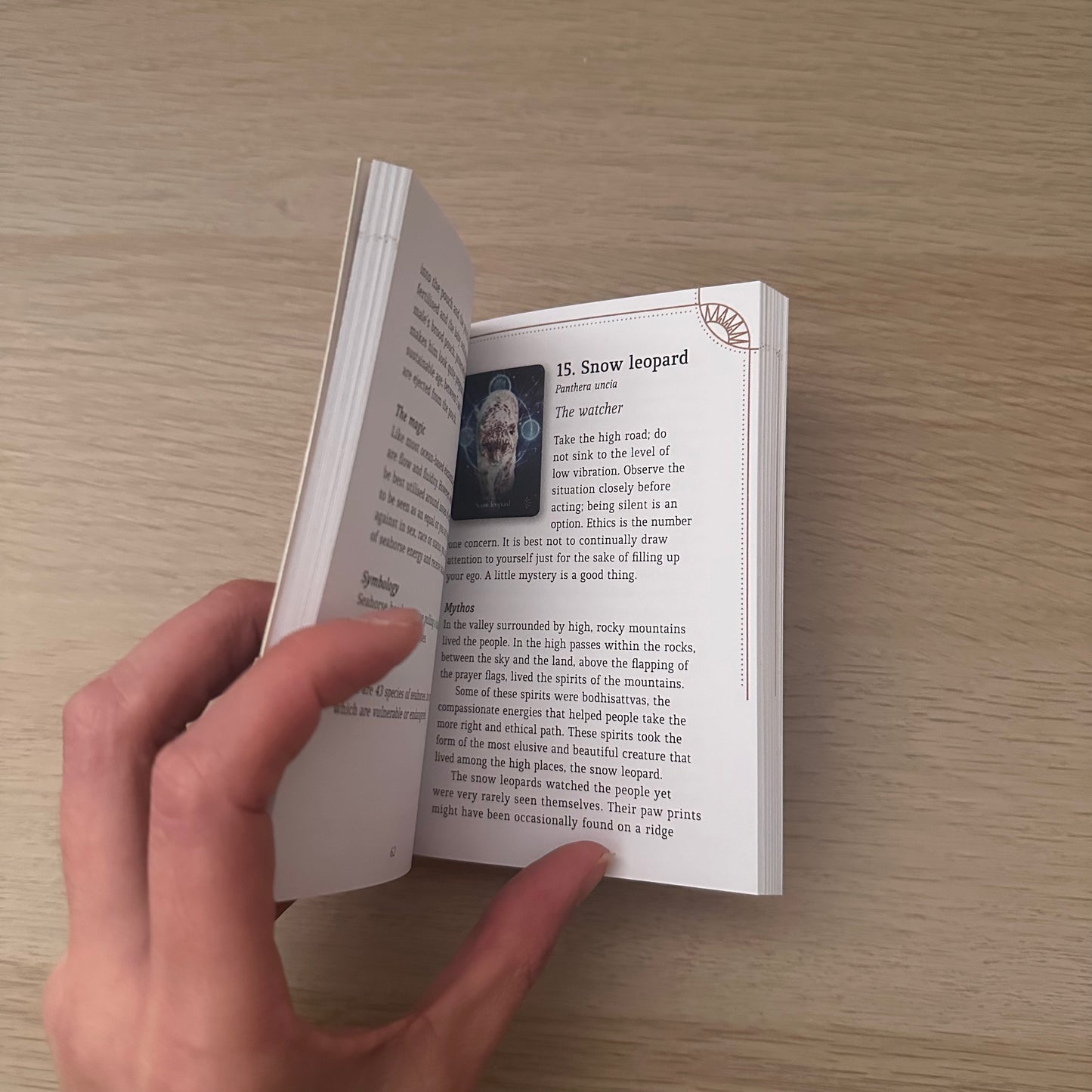 Divine Animals Oracle | Stacey Demarco