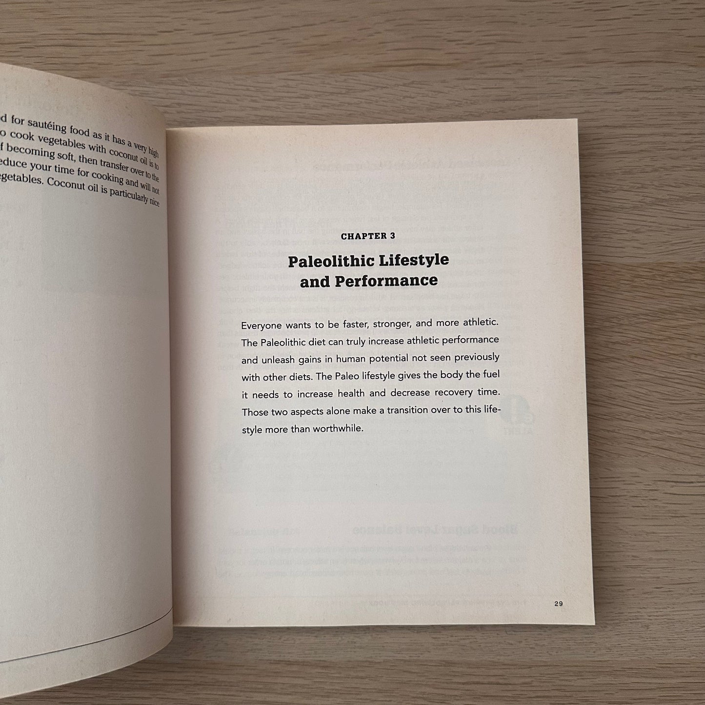 The Everything Paleolithic Diet Book | Jodie Cohen & Gilaad Cohen