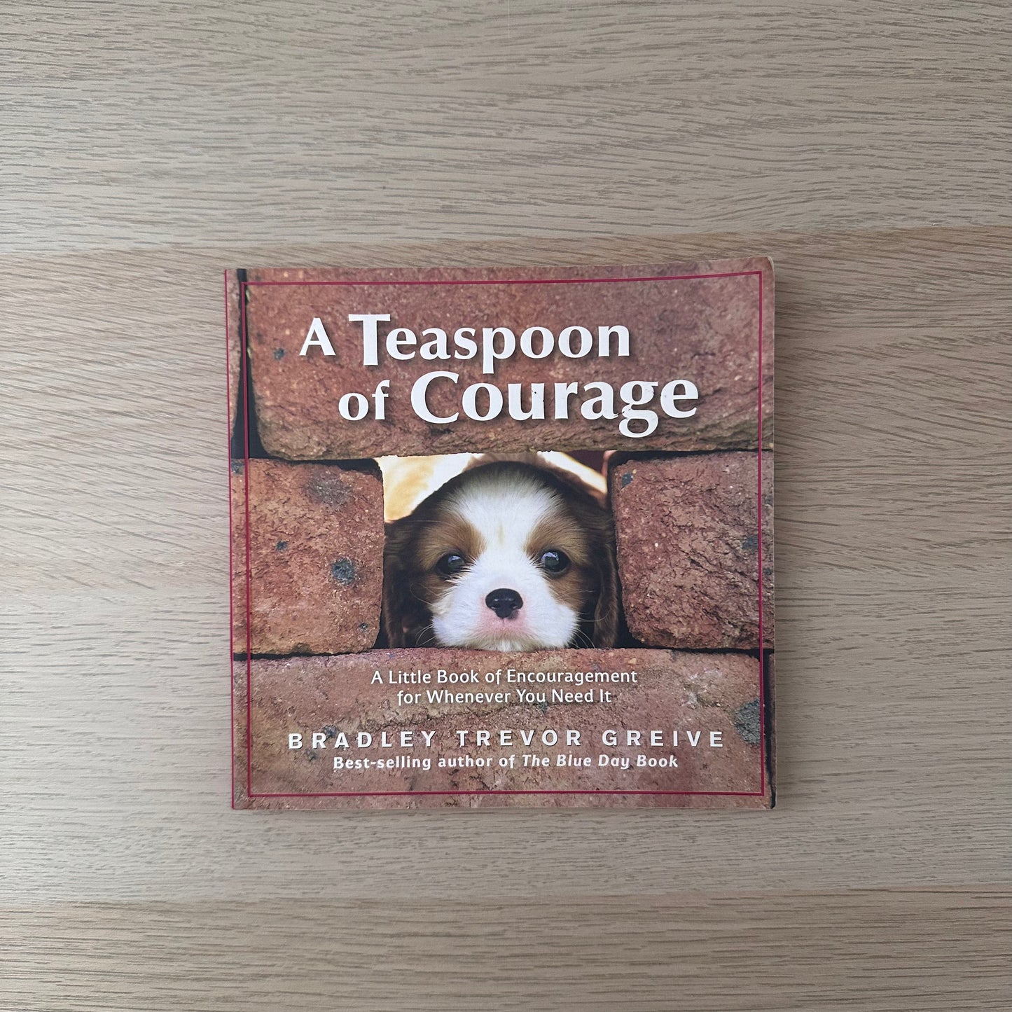 A Teaspoon of Courage | Bradley Trevor Grieve
