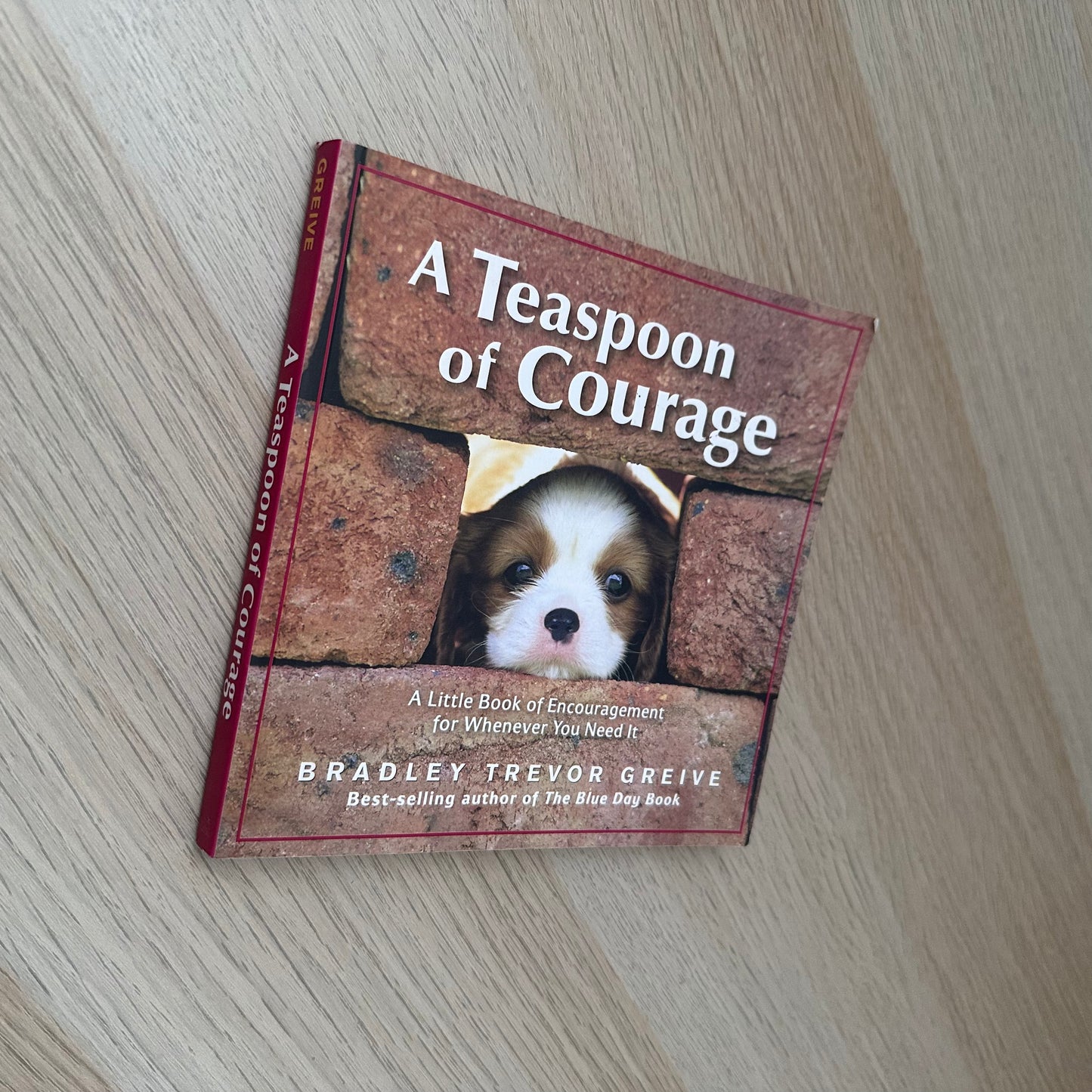 A Teaspoon of Courage | Bradley Trevor Grieve
