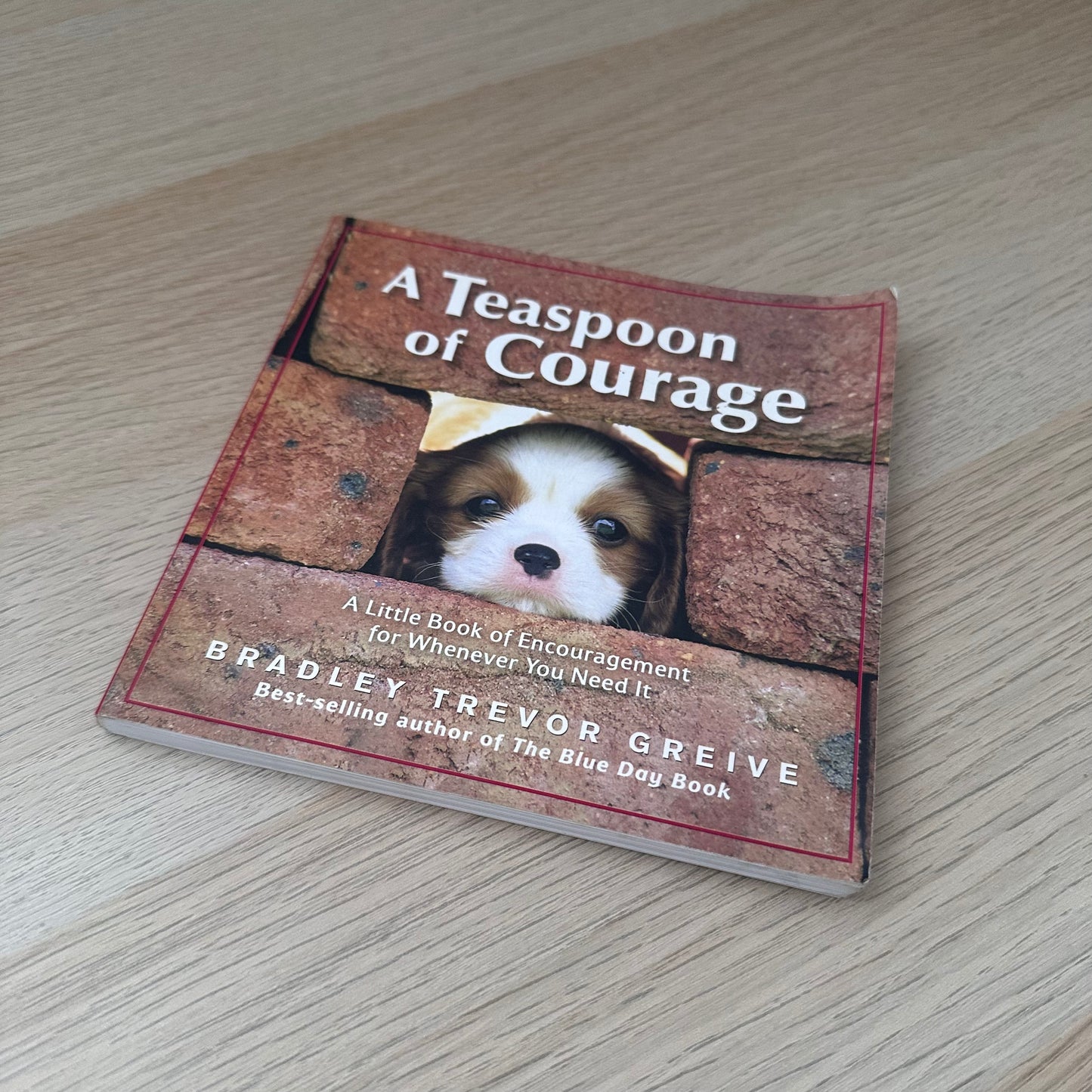 A Teaspoon of Courage | Bradley Trevor Grieve