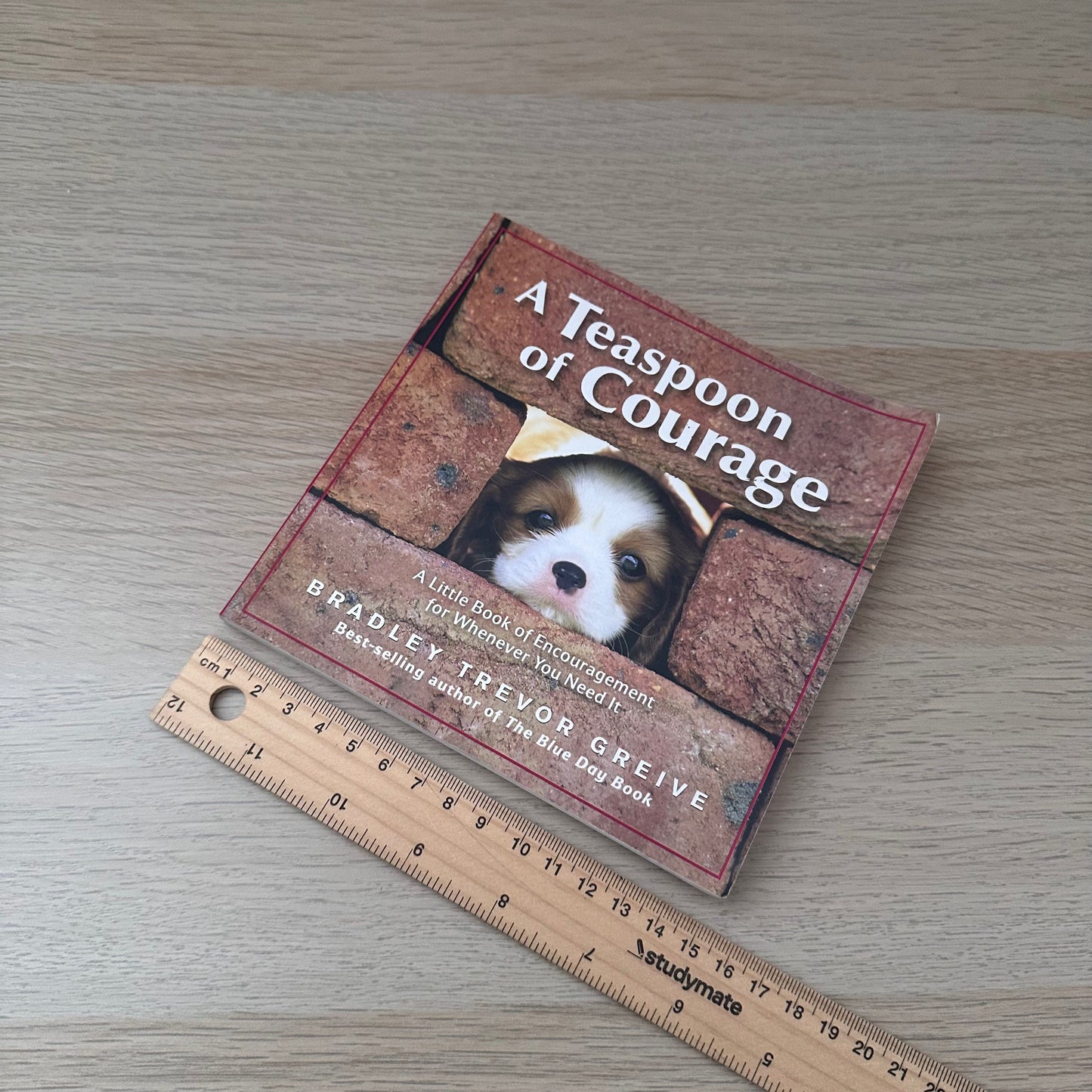 A Teaspoon of Courage | Bradley Trevor Grieve
