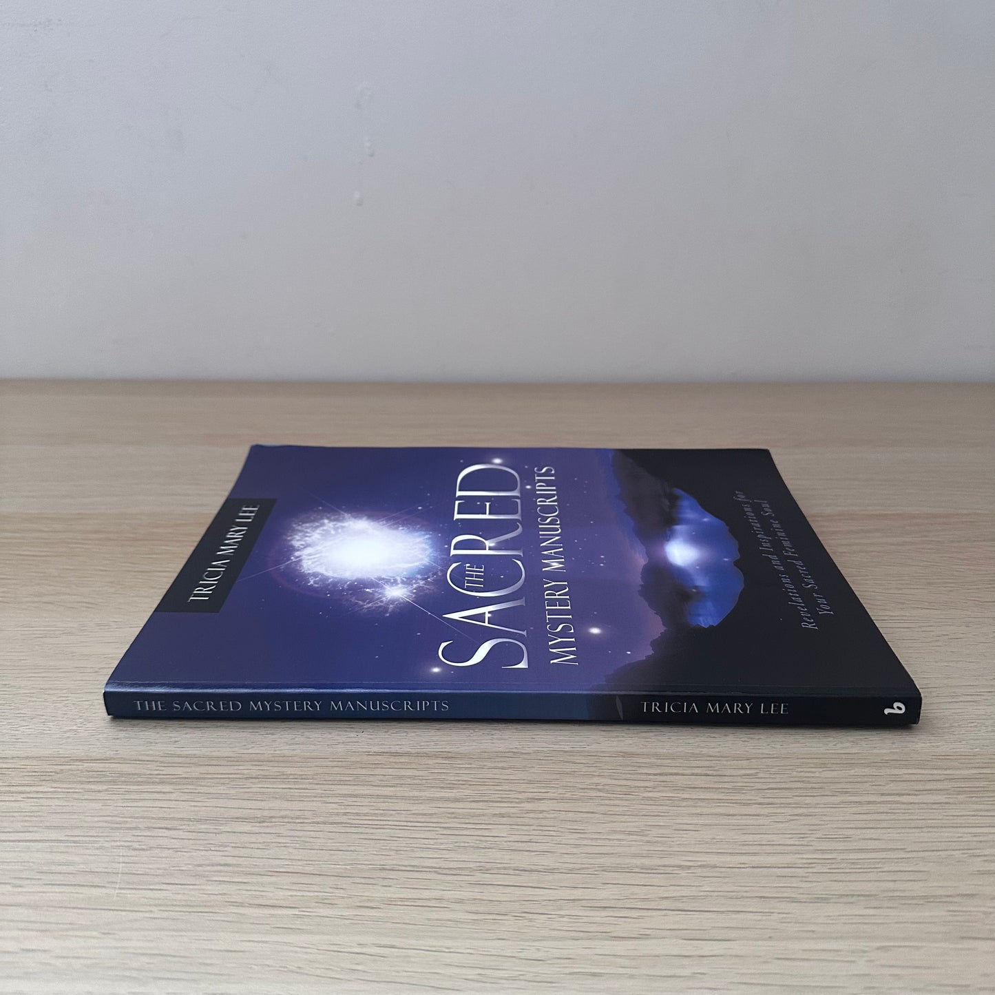 The Sacred Mystery Manuscripts | Tricia Mary Lee