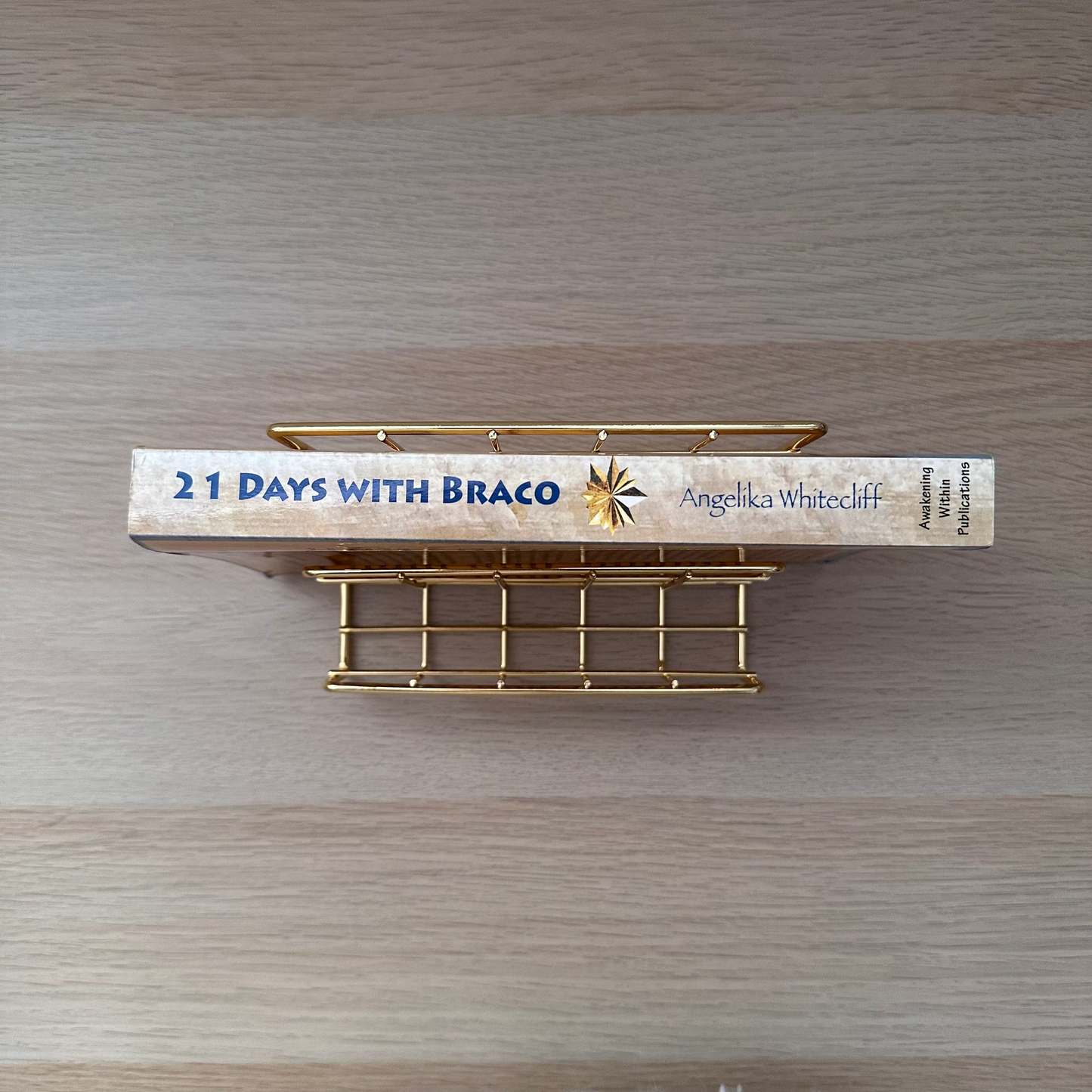 21 Days with Braco | Angelika Whitecliff