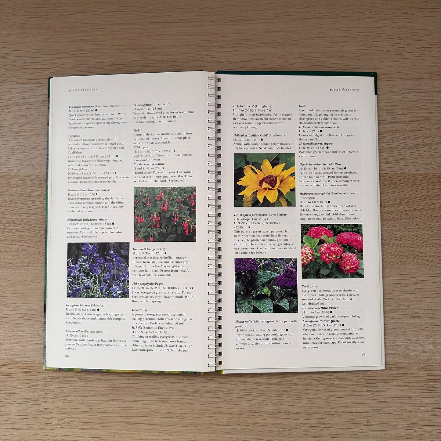 Gardening with Containers: 20 Step-By-Step Projects | George Carter