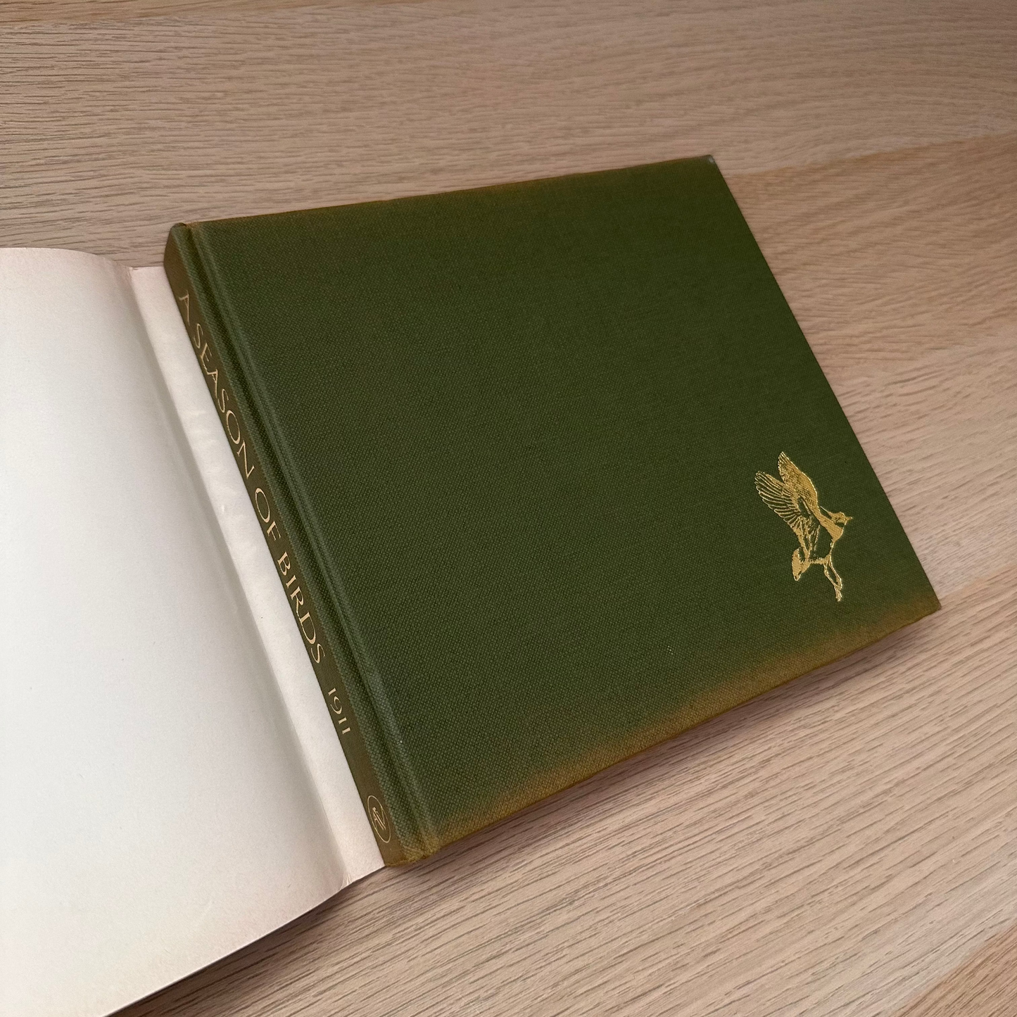 A Season of Birds: A Norfolk Diary 1911 | Edwin Vincent