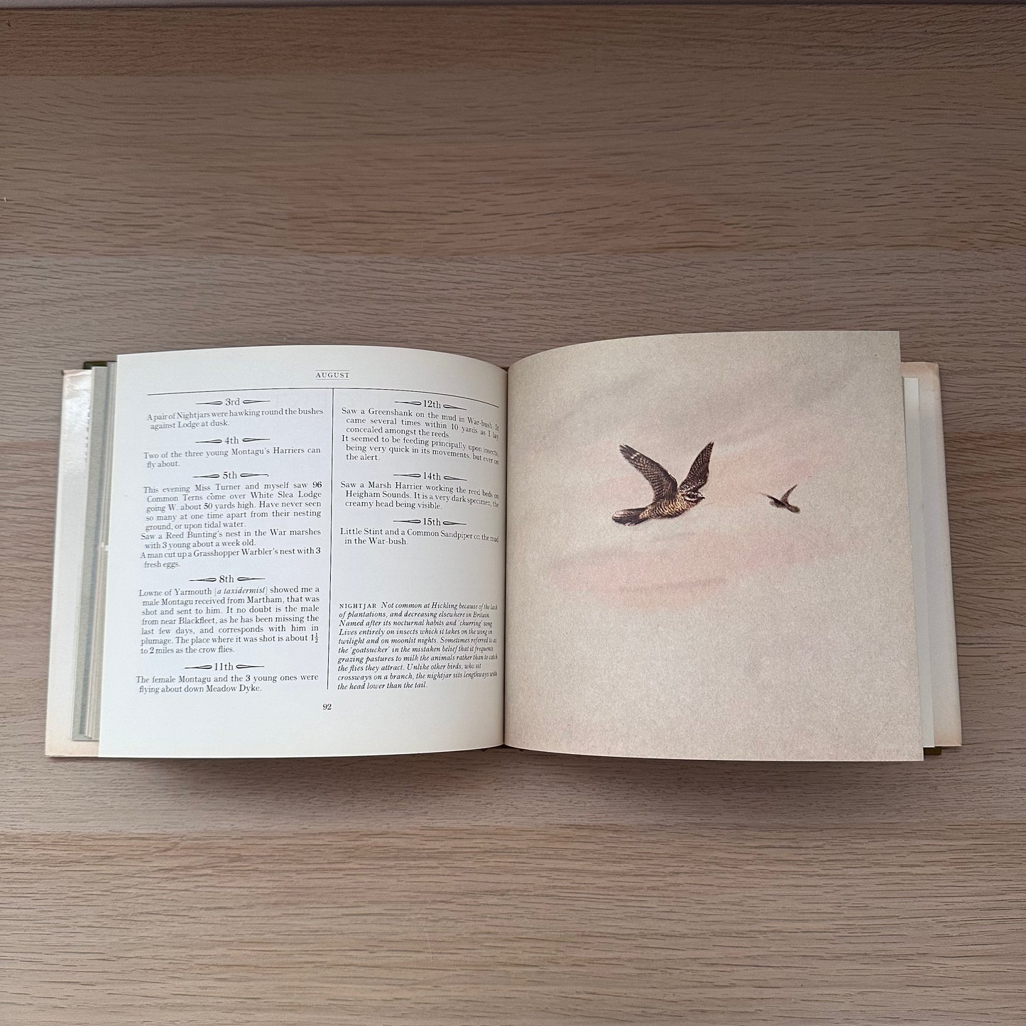 A Season of Birds: A Norfolk Diary 1911 | Edwin Vincent