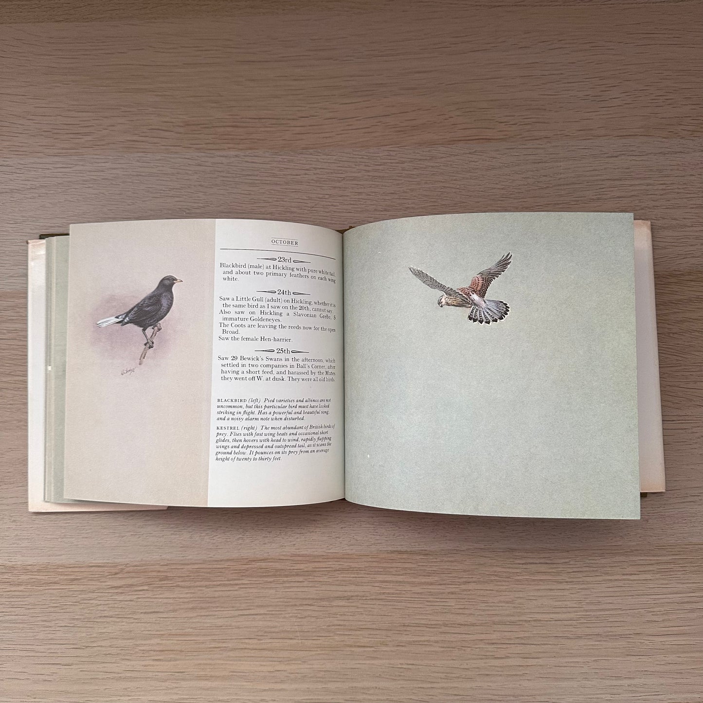 A Season of Birds: A Norfolk Diary 1911 | Edwin Vincent