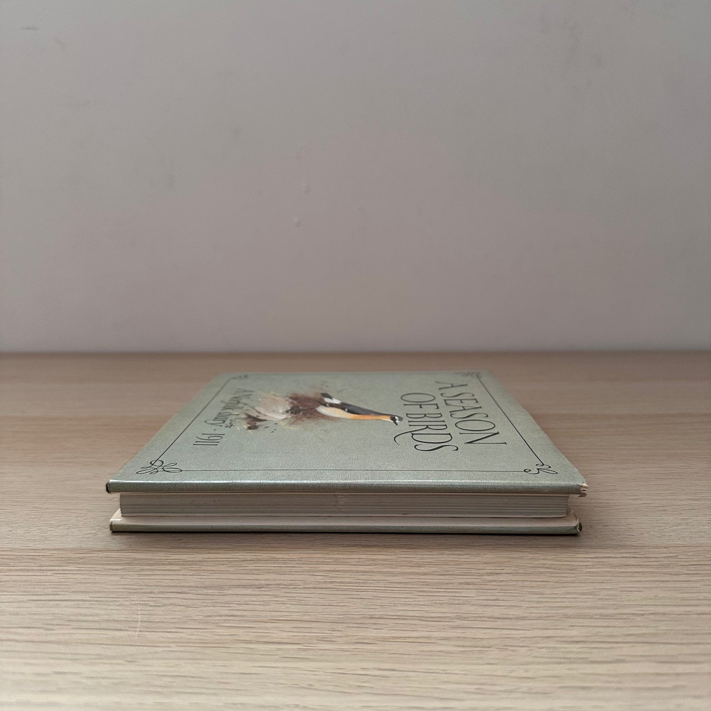 A Season of Birds: A Norfolk Diary 1911 | Edwin Vincent