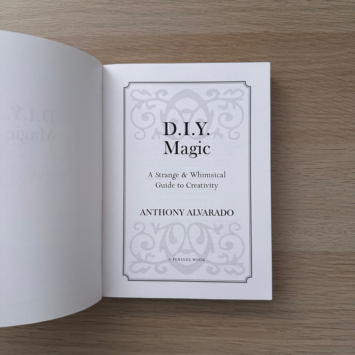 DIY Magic: A Strange and Whimsical Guide to Creativity | Paperback | Anthony Alvarado