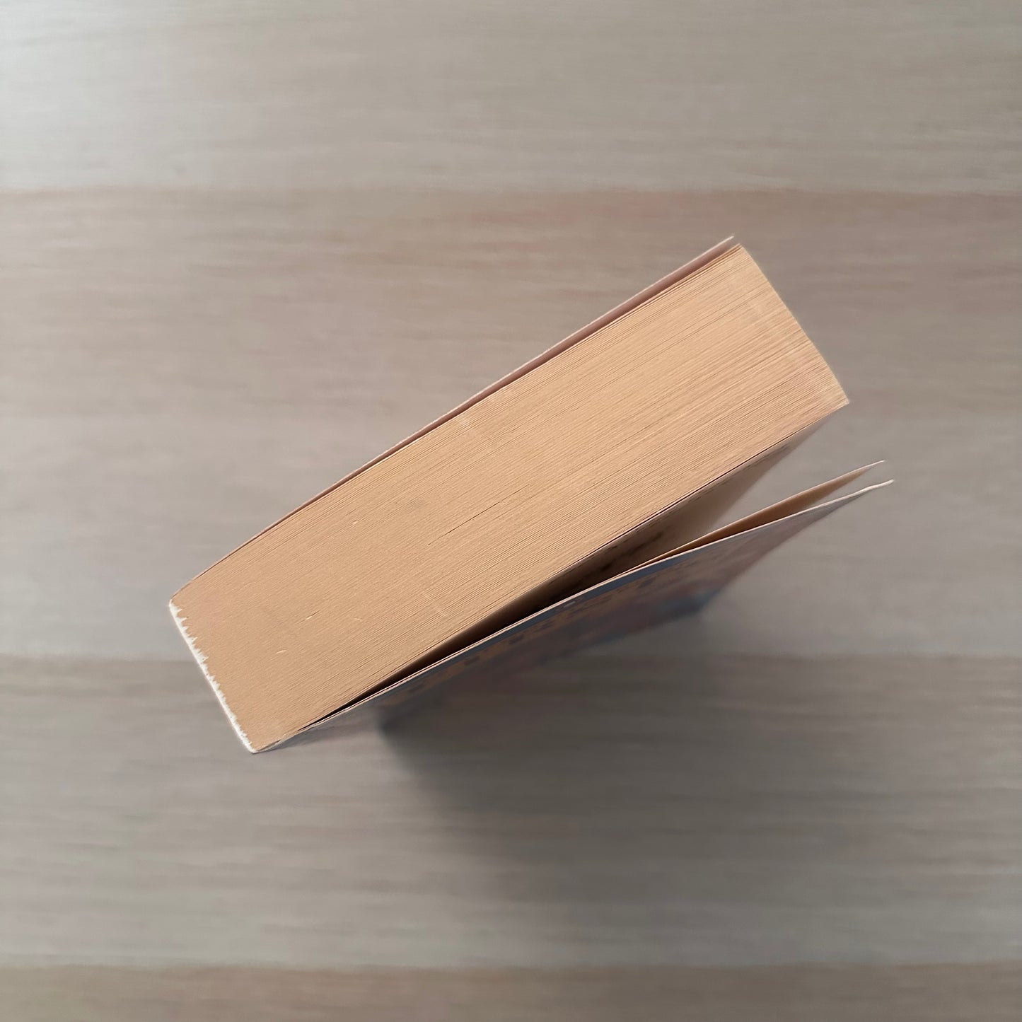 Penguin Book of Firsts | Paperback | Matthew Richardson