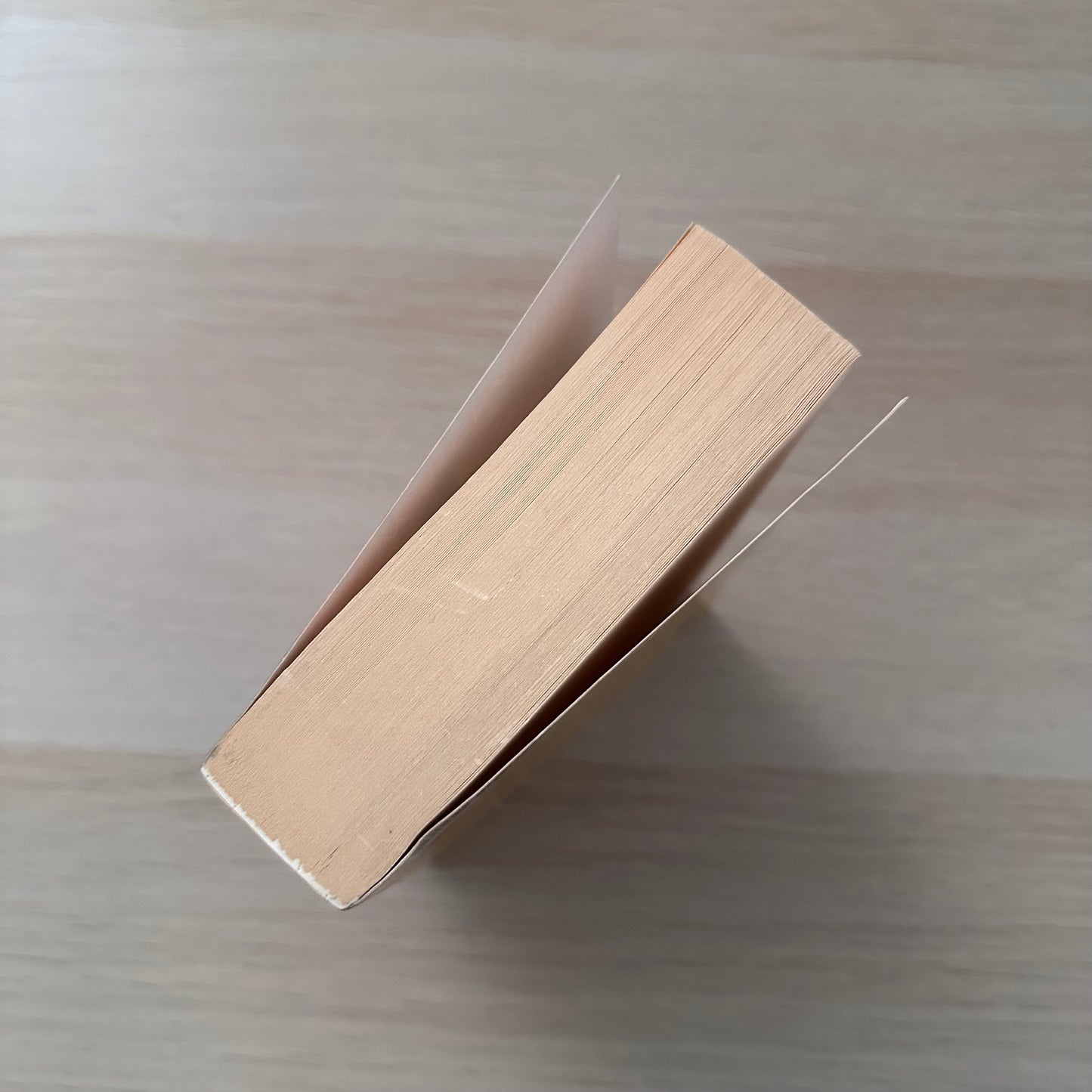 Penguin Book of Firsts | Paperback | Matthew Richardson