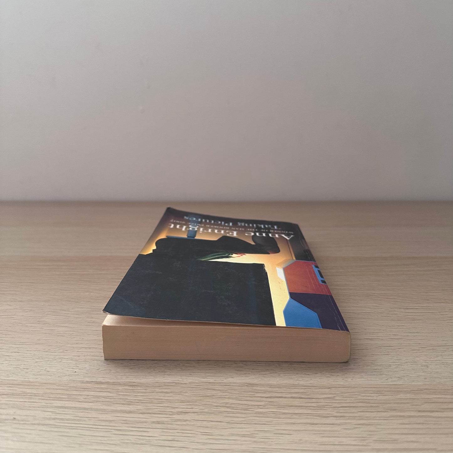Taking Pictures | Anne Enright