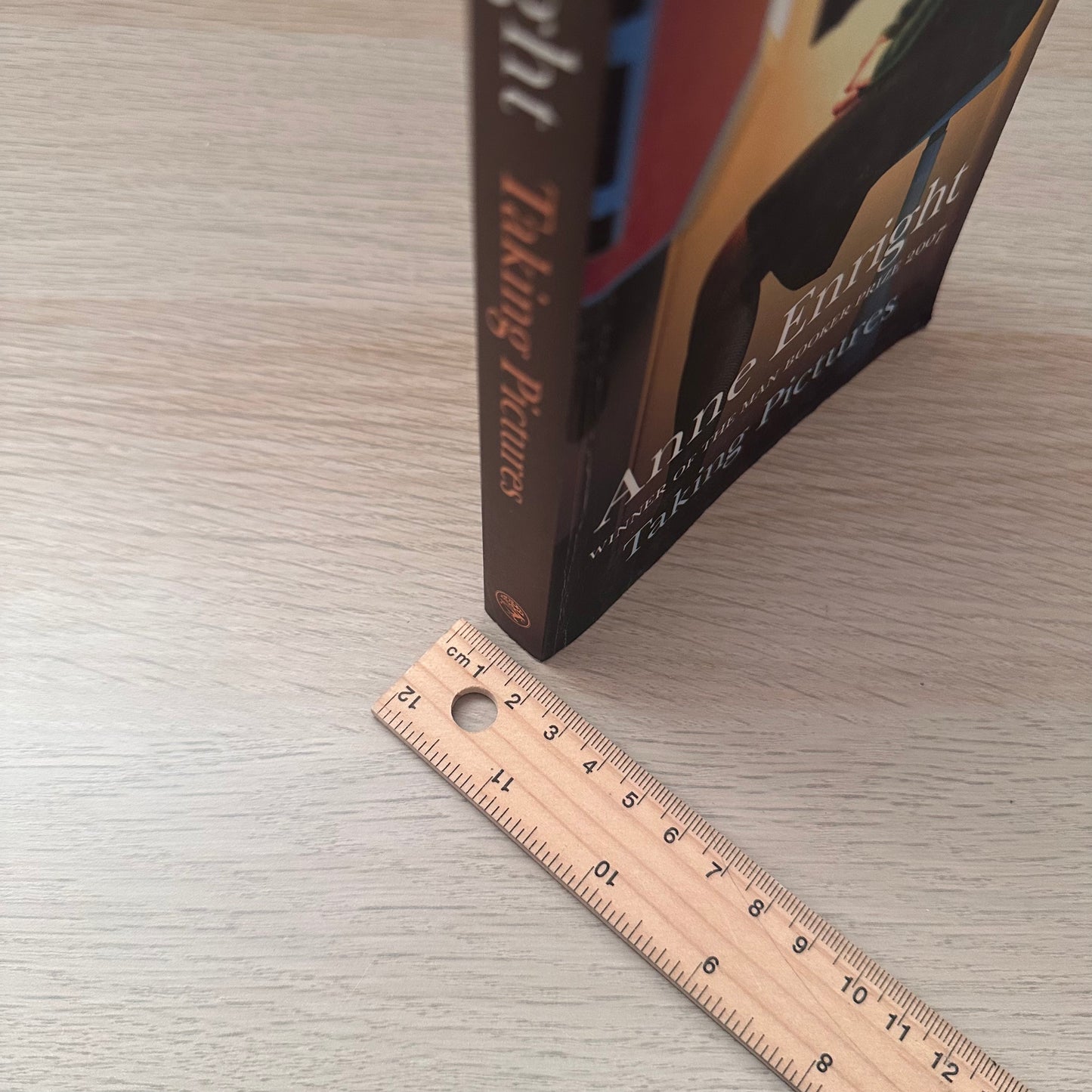 Taking Pictures | Anne Enright