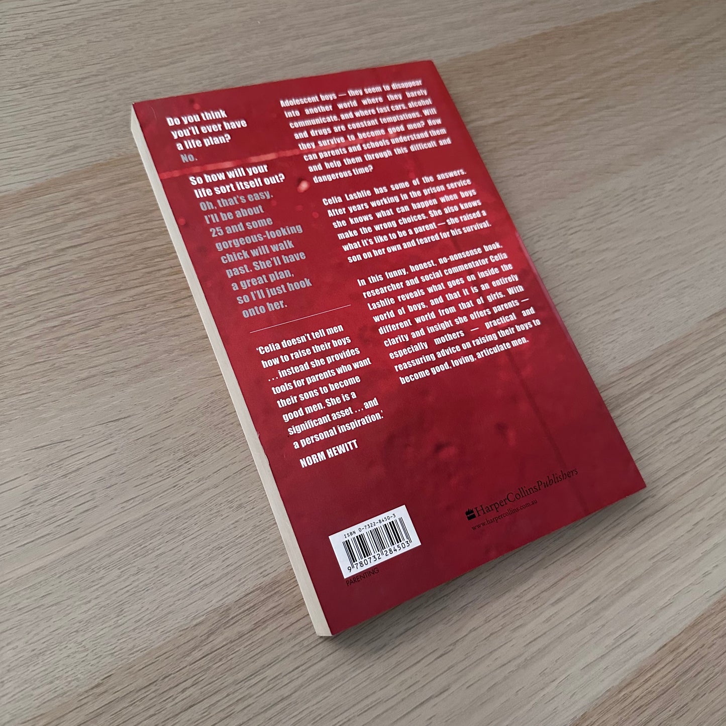 He'll Be OK | Paperback | Celia Lashlie