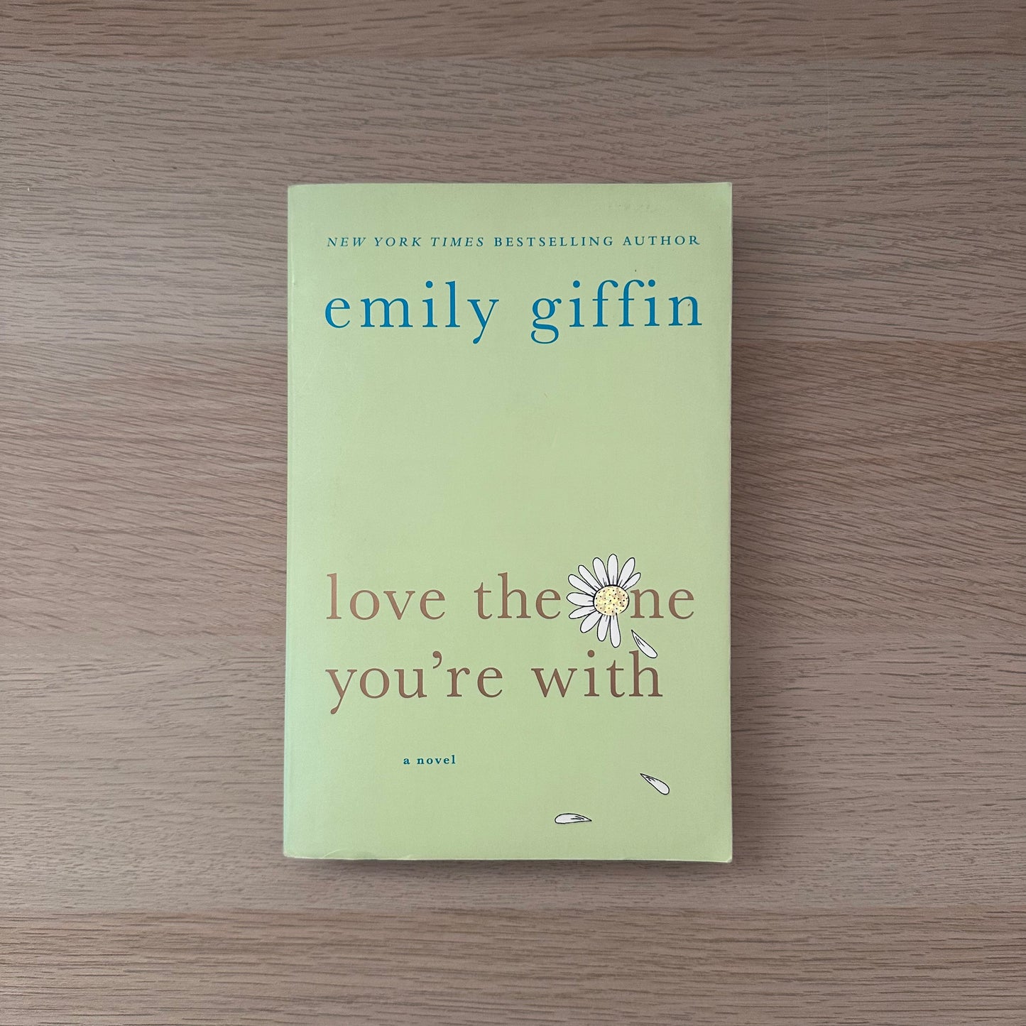Love the One You're With | Emily Giffin