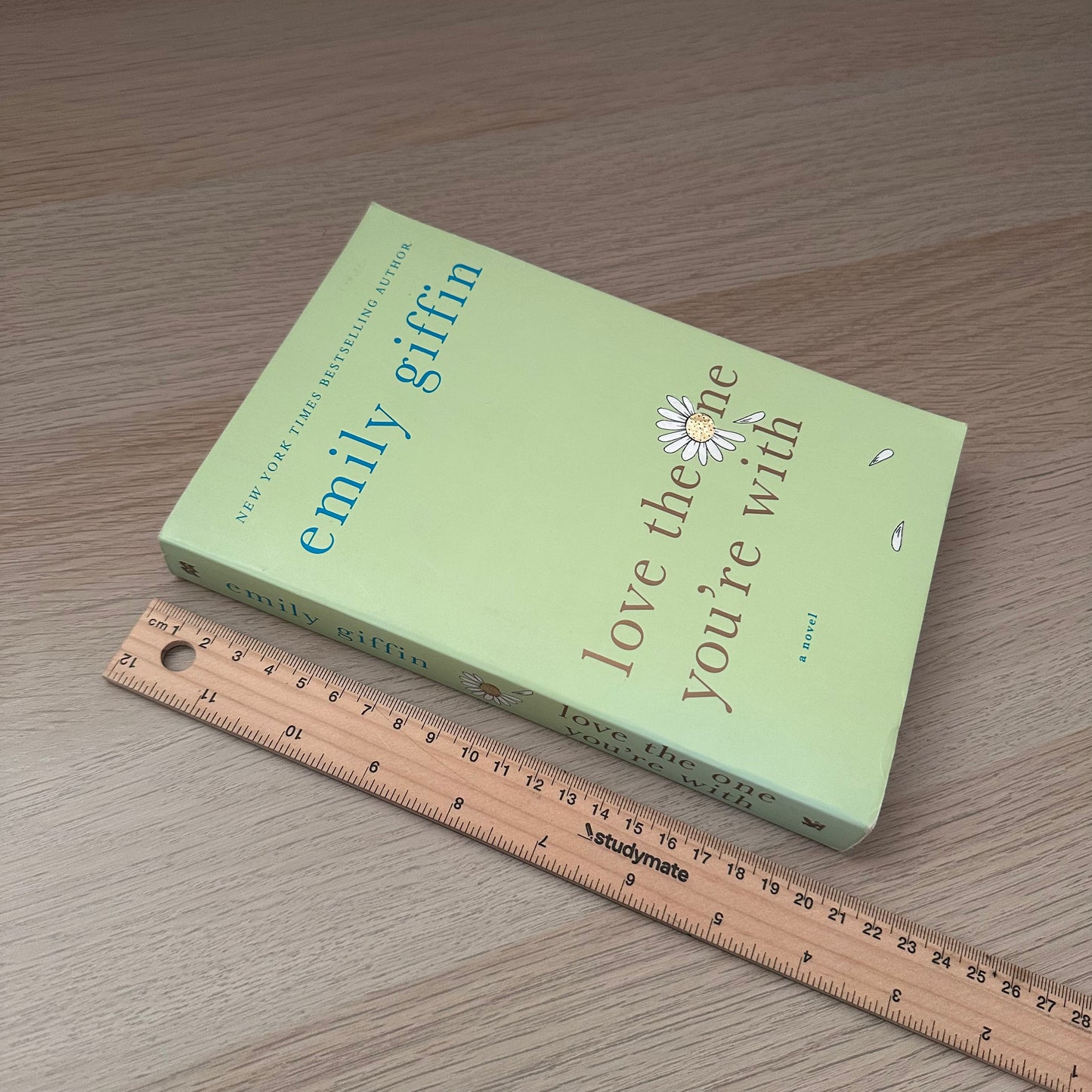 Love the One You're With | Emily Giffin
