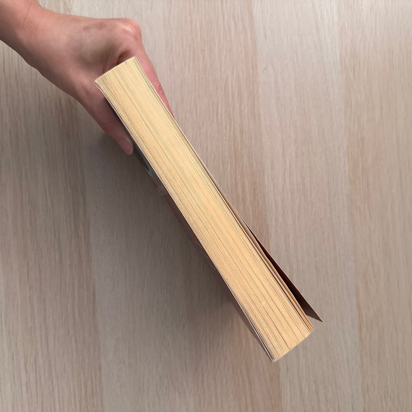 The Rouseabout | Paperback | Rachael Treasure