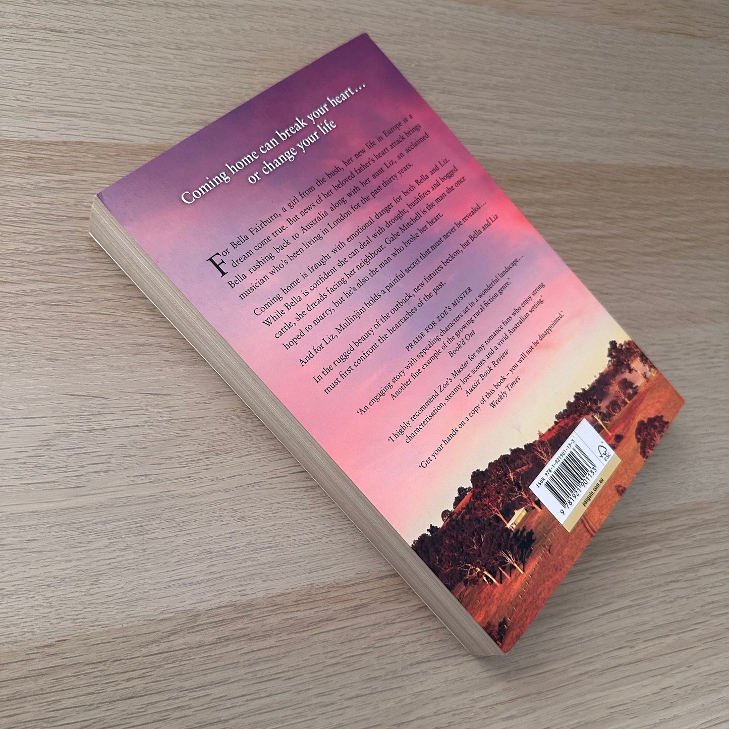 Home Before Sundown | Paperback | Barbara Hannay