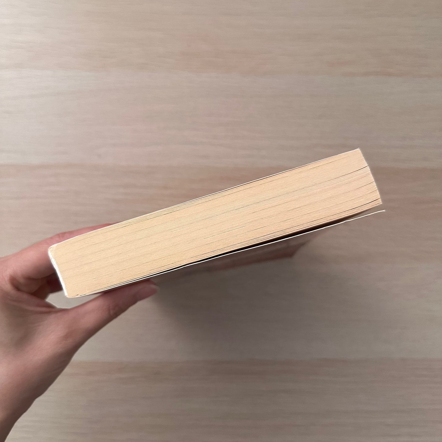 Home Before Sundown | Paperback | Barbara Hannay