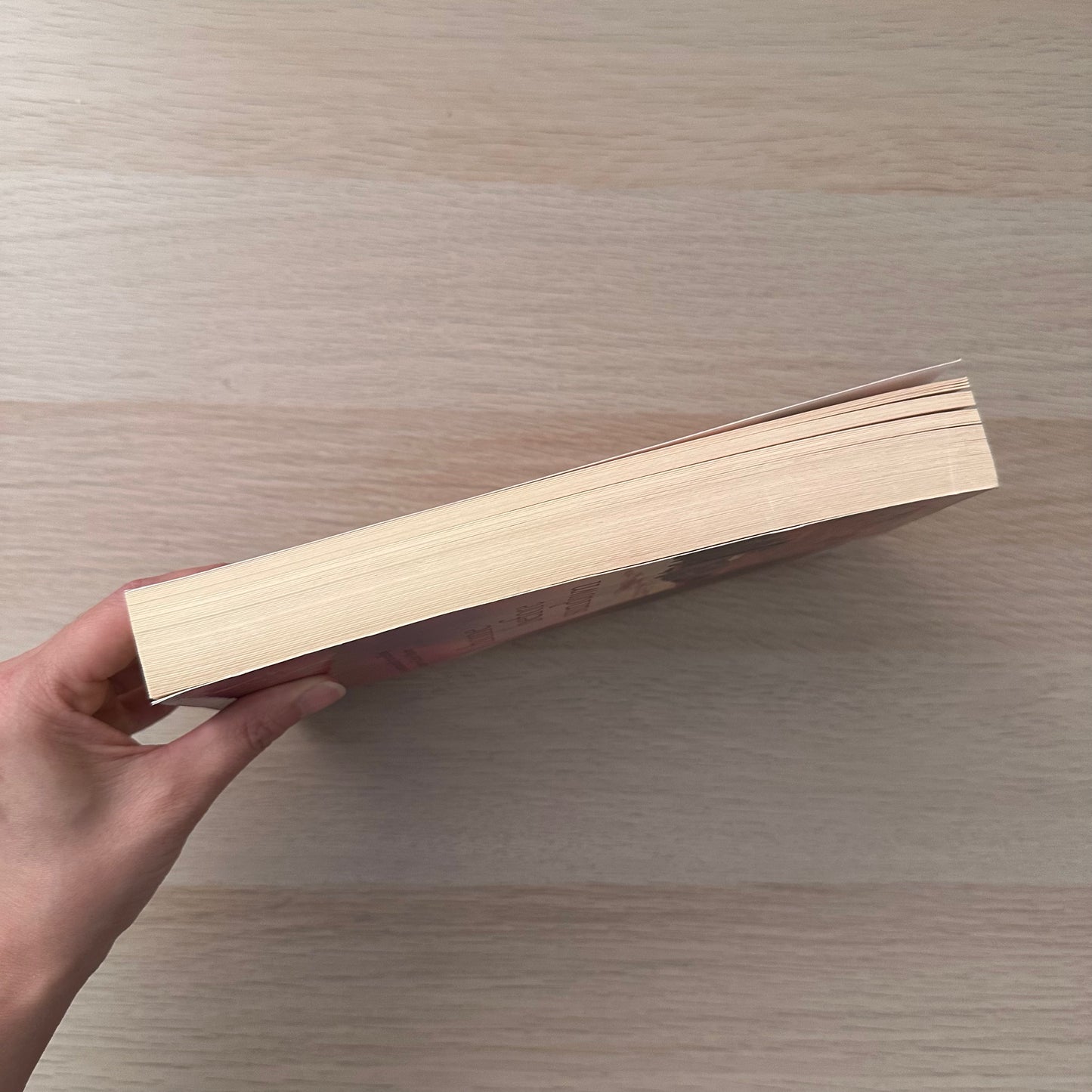 Home Before Sundown | Paperback | Barbara Hannay