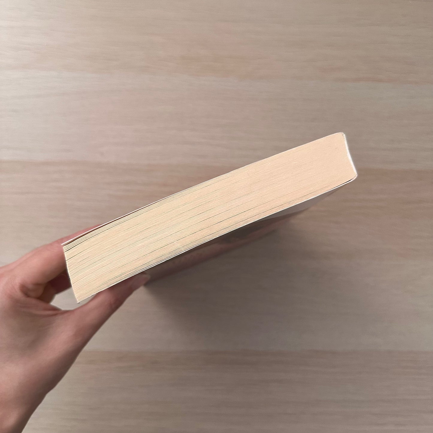 Home Before Sundown | Paperback | Barbara Hannay