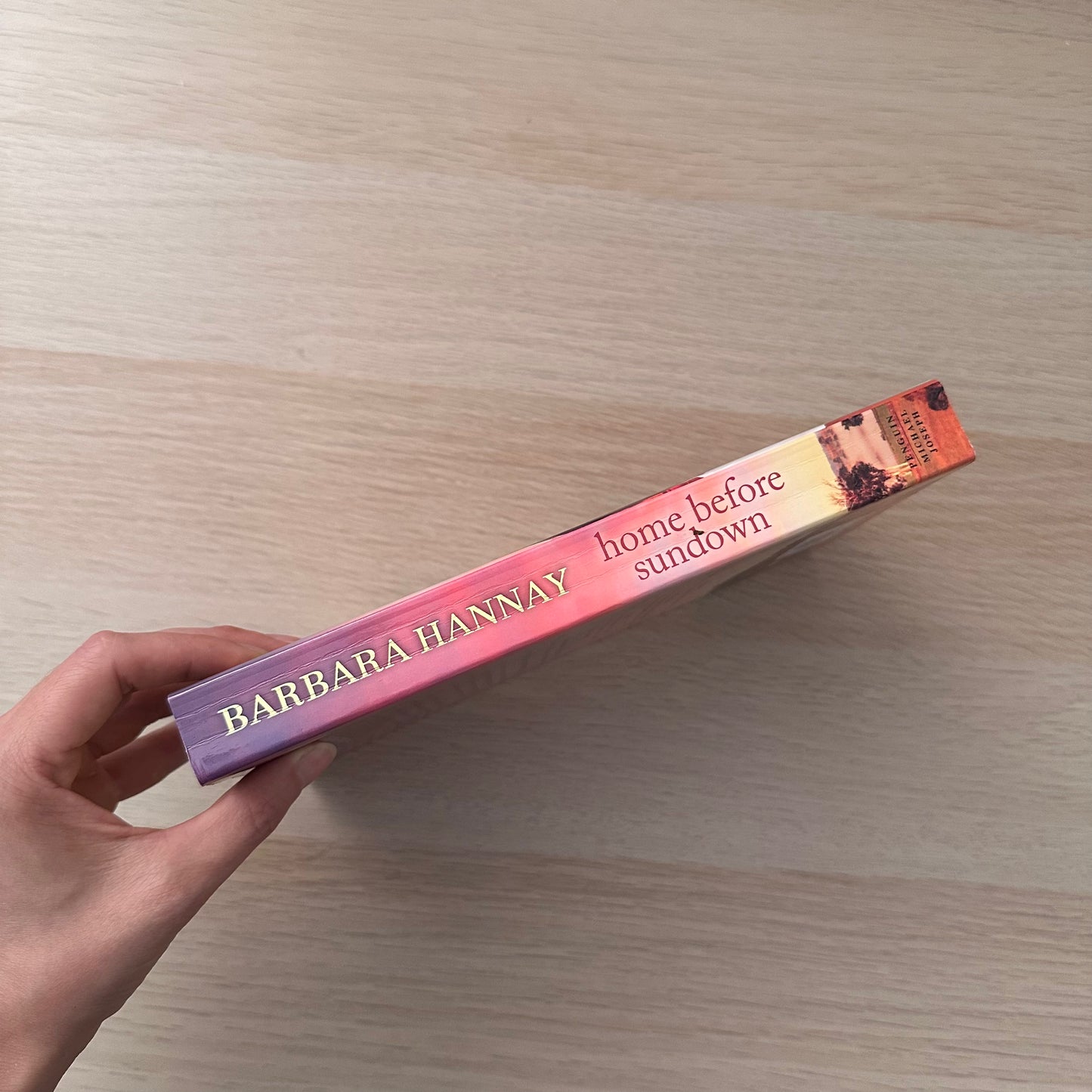 Home Before Sundown | Paperback | Barbara Hannay