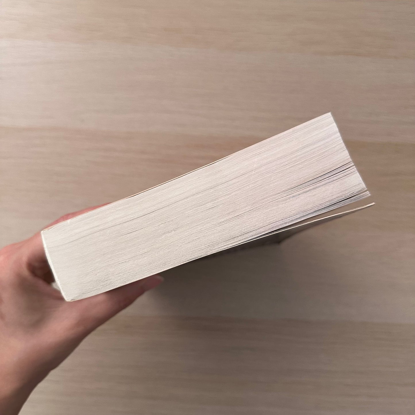 The Gate House | Paperback | Nelson Demille