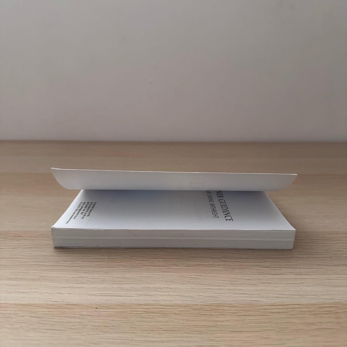 Inner Guidance | Anne Archer Butcher