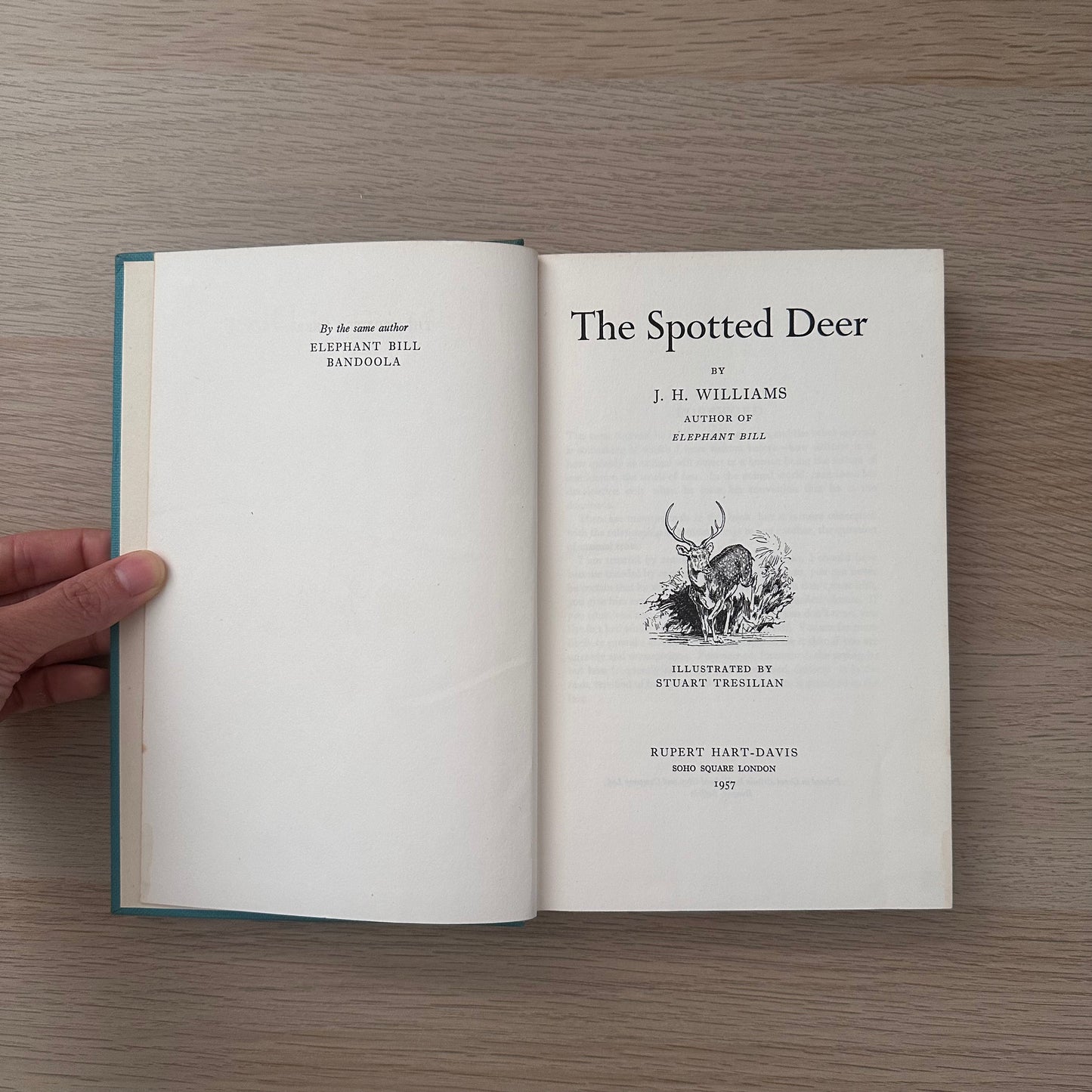 The Spotted Deer | 1957 | J.H Williams