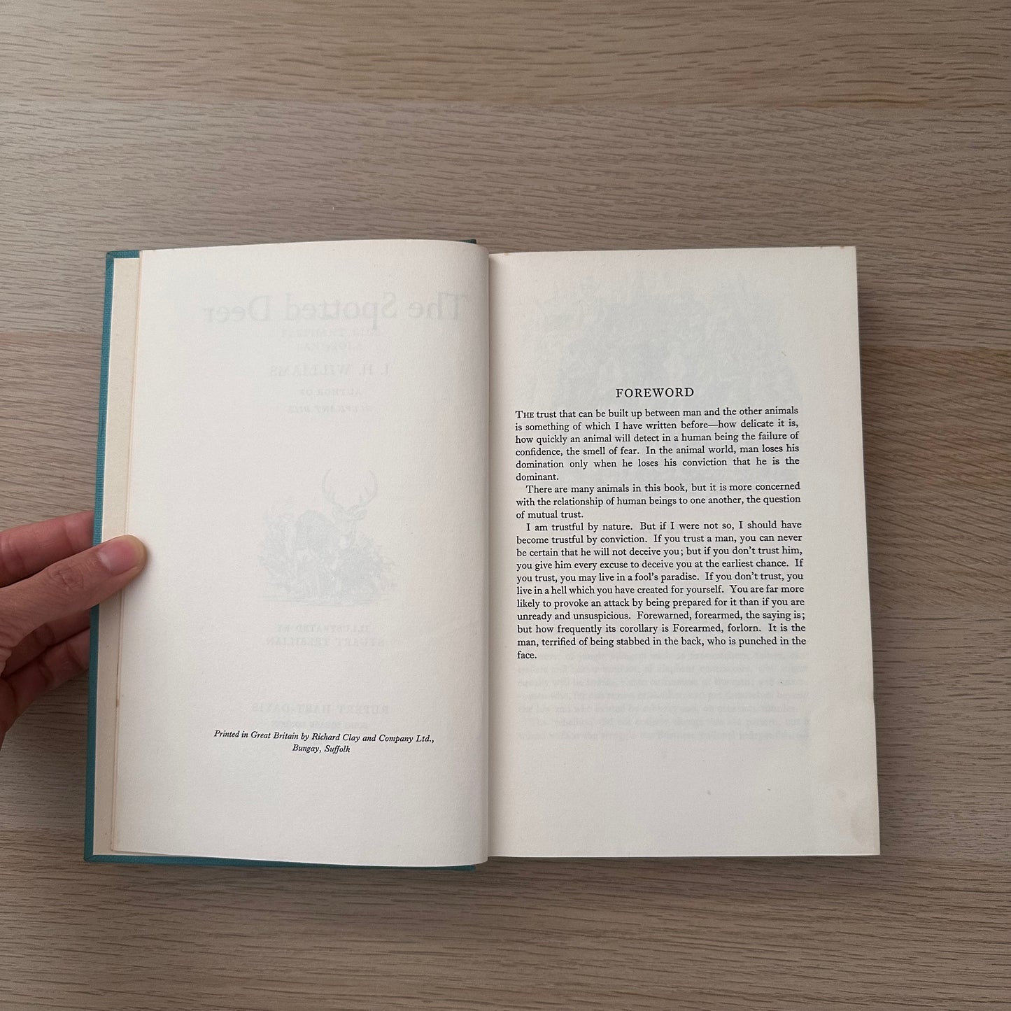 The Spotted Deer | 1957 | J.H Williams