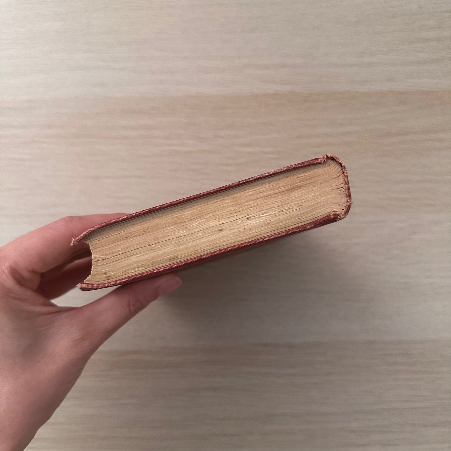 Barnaby Rudge / A Tale of The Riots of Eighty | 1900s | Charles Dickens