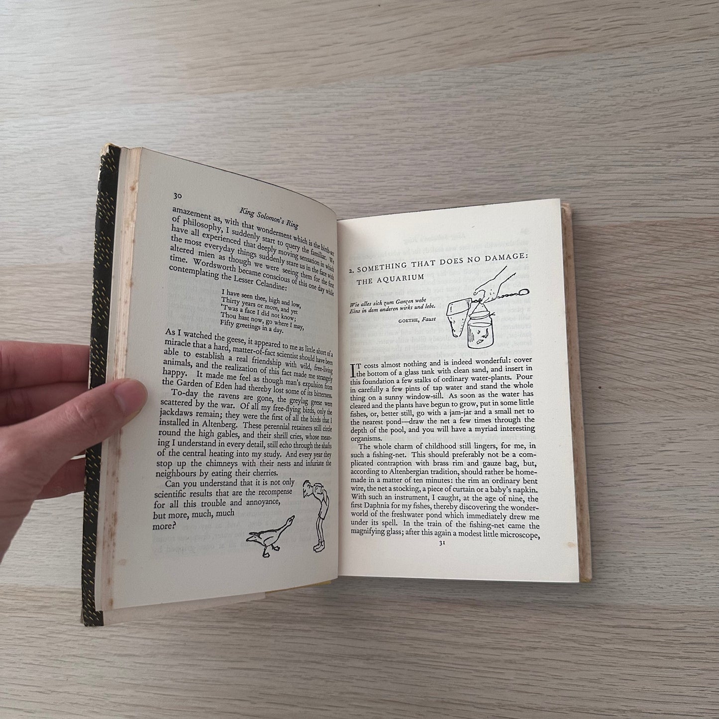 King Solomon's Ring | 1953 | Konrad Z. Lorenz