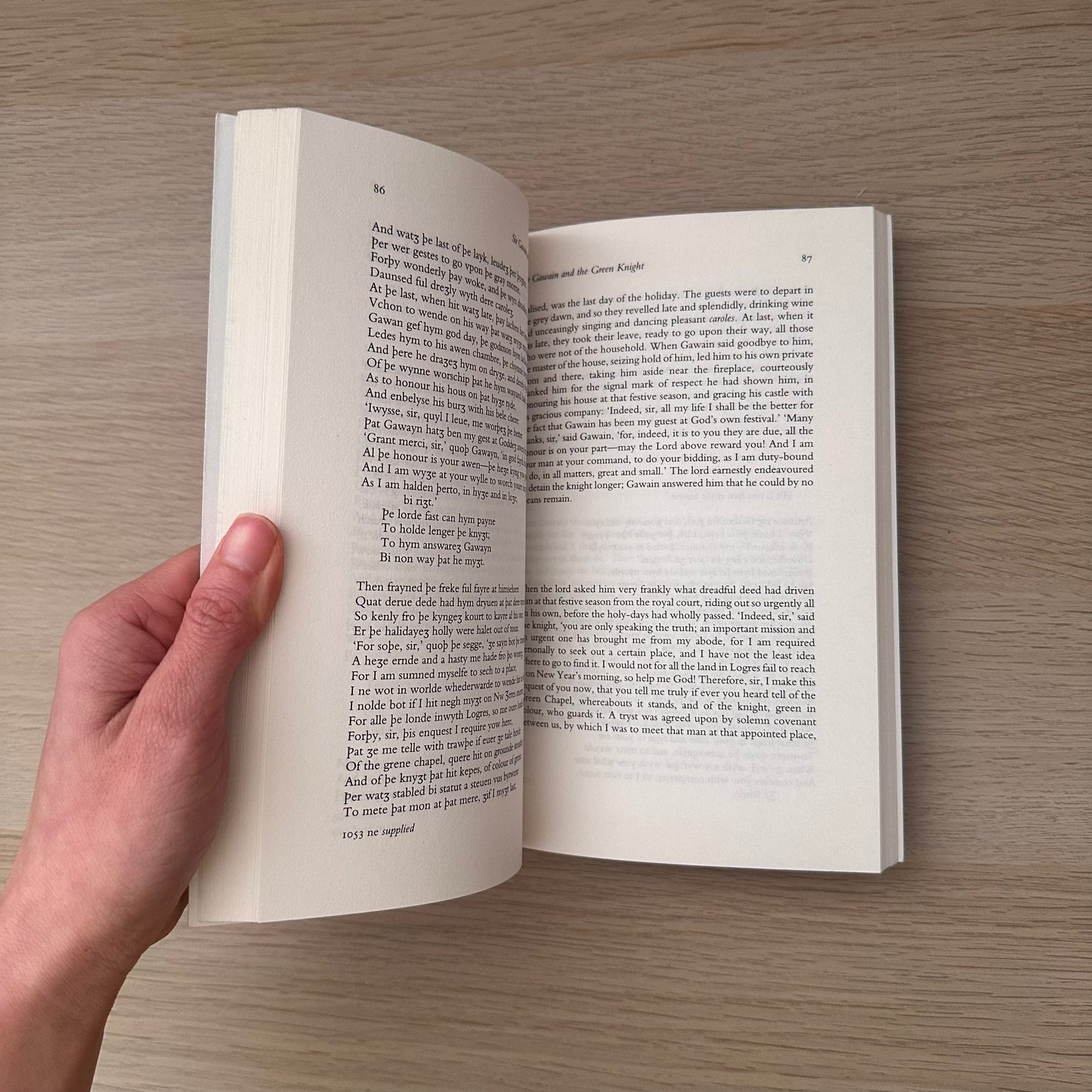 Sir Gawain and the Green Knight | W.R.J. Barron